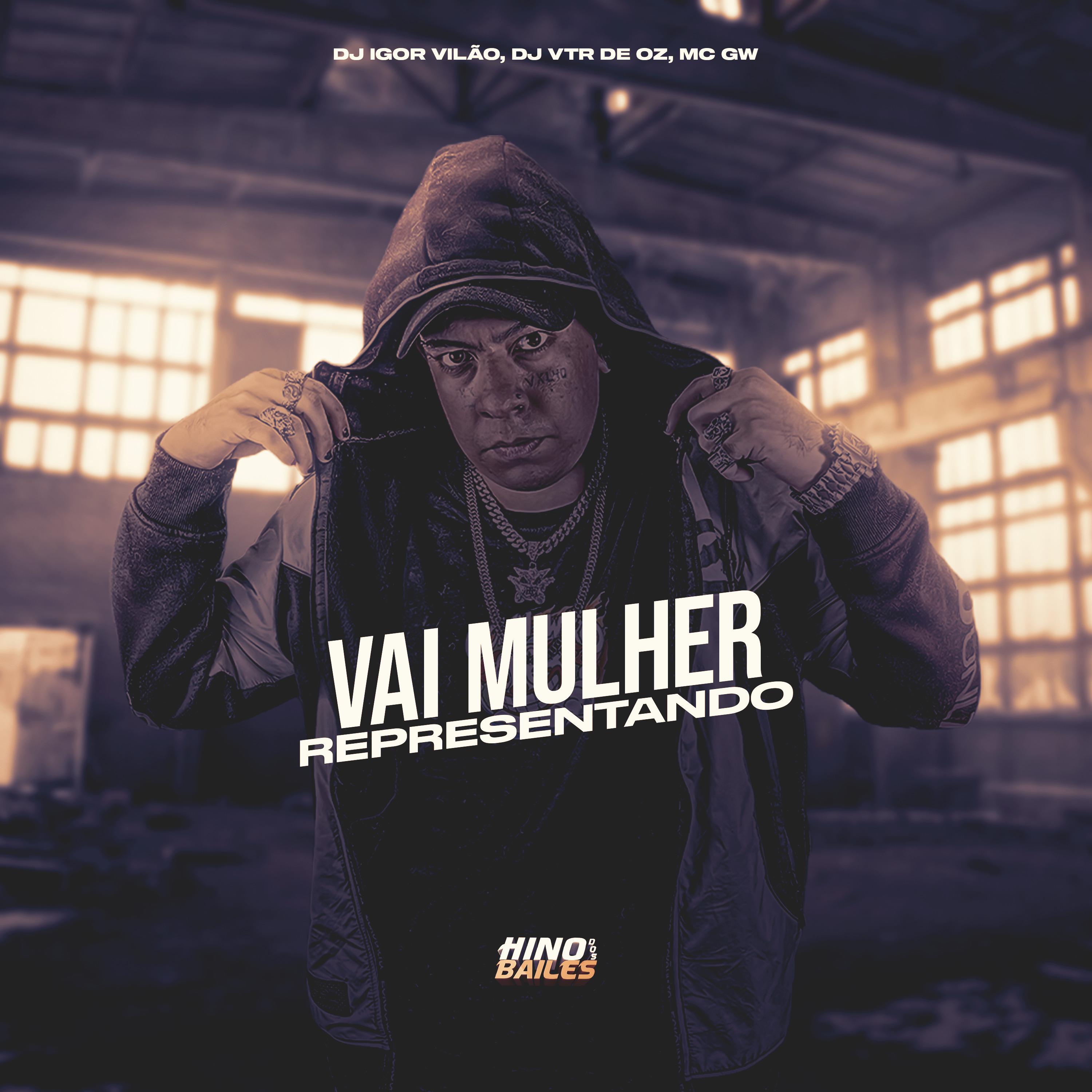 Постер альбома Vai Mulher Representando