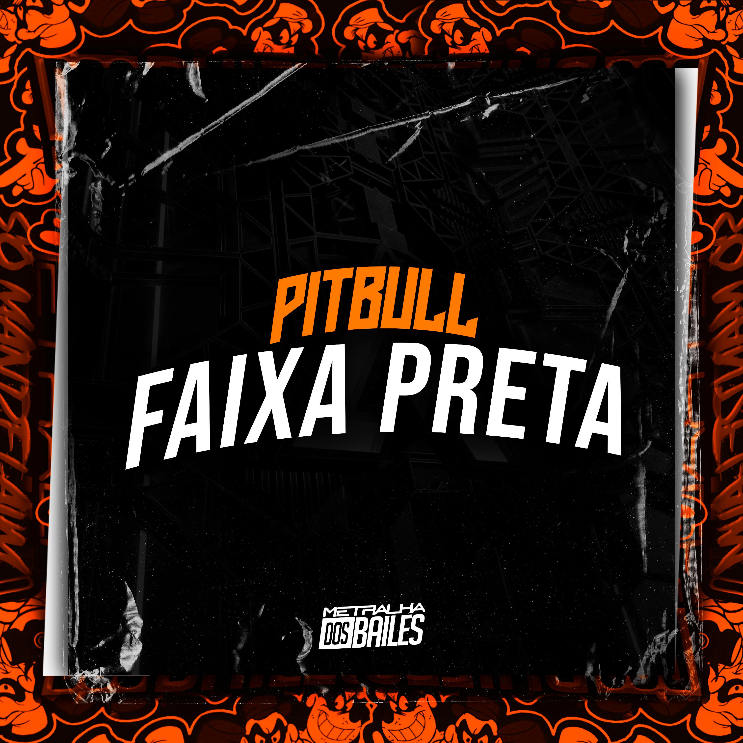 Постер альбома Pitbull Faixa Preta