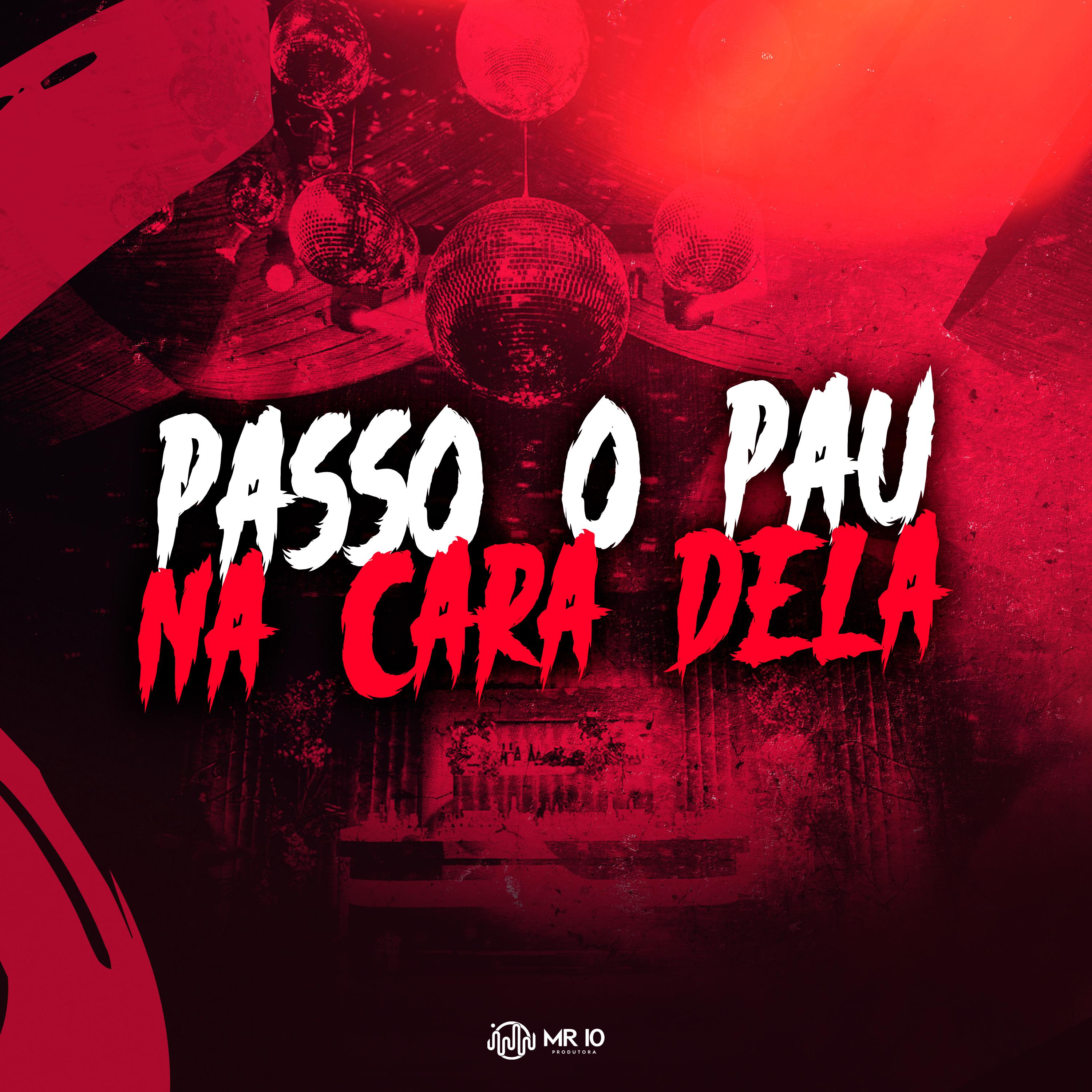 Постер альбома Passo o Pau na Cara Dela