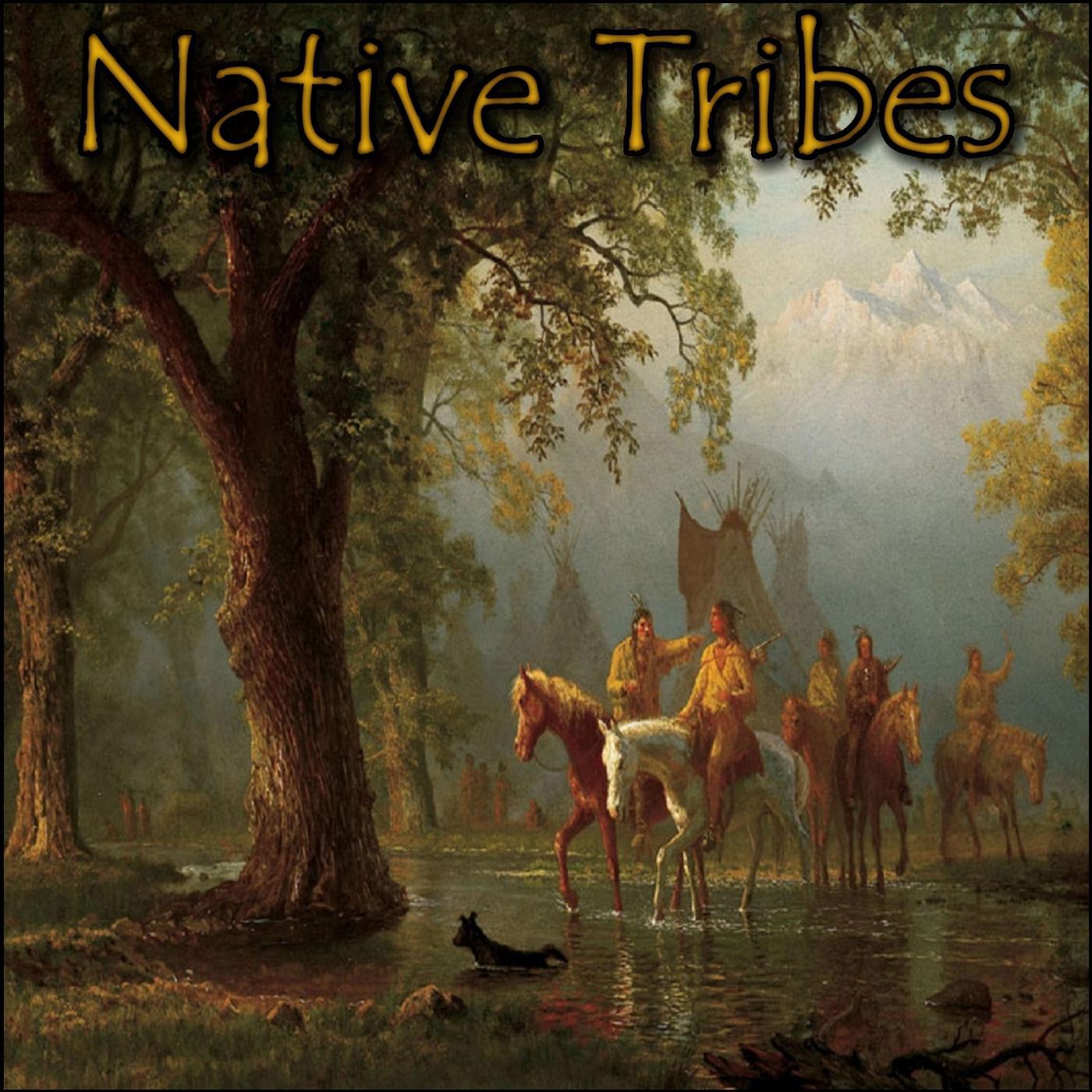 Brandon Fiechter - Indian Archers