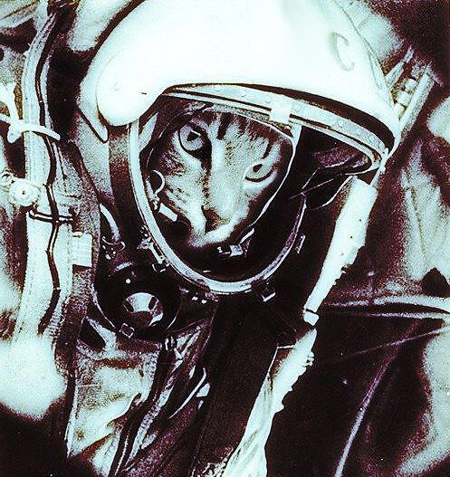 Космонавты все песни в mp3