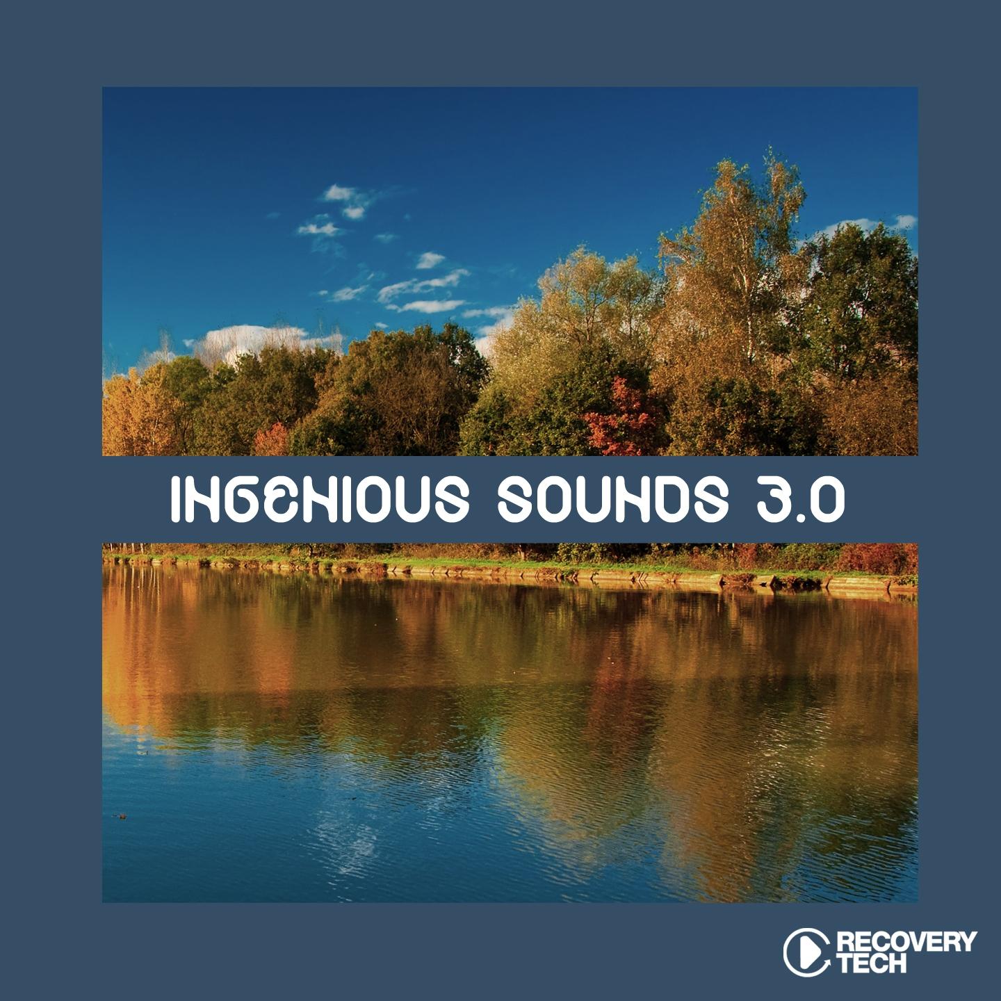 Постер альбома Ingenious Sounds 3.0