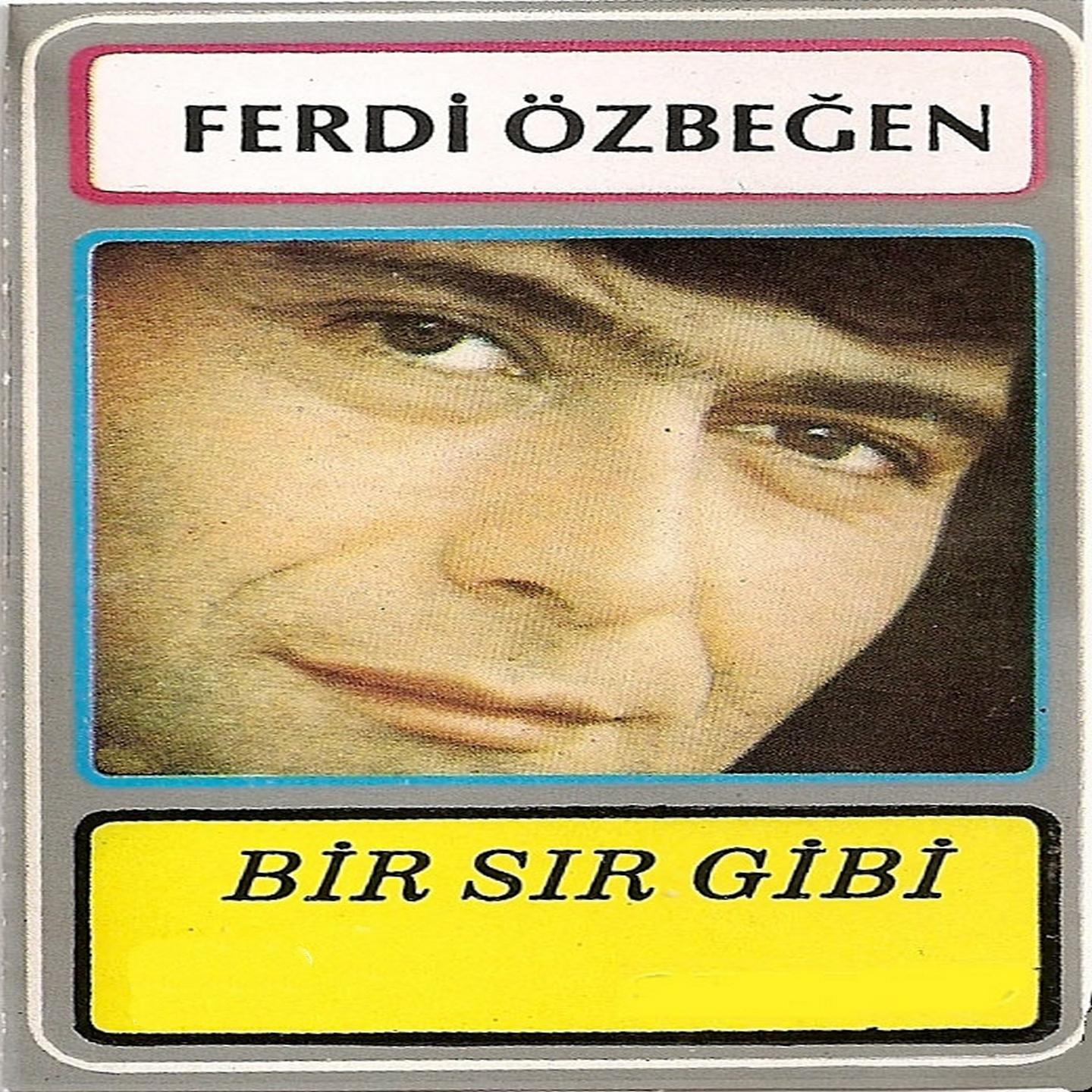 Постер альбома Bir Sır Gibi