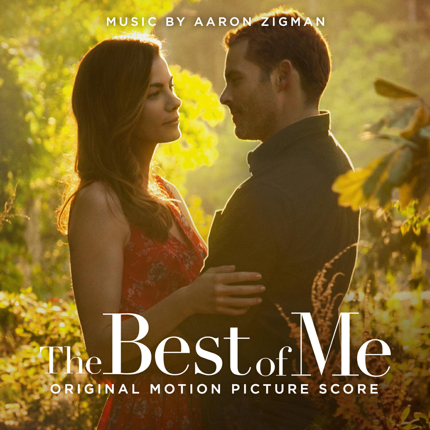 Best of me фф. Aaron Zigman the best of me. Лучшее во мне (the best of me) 2014.