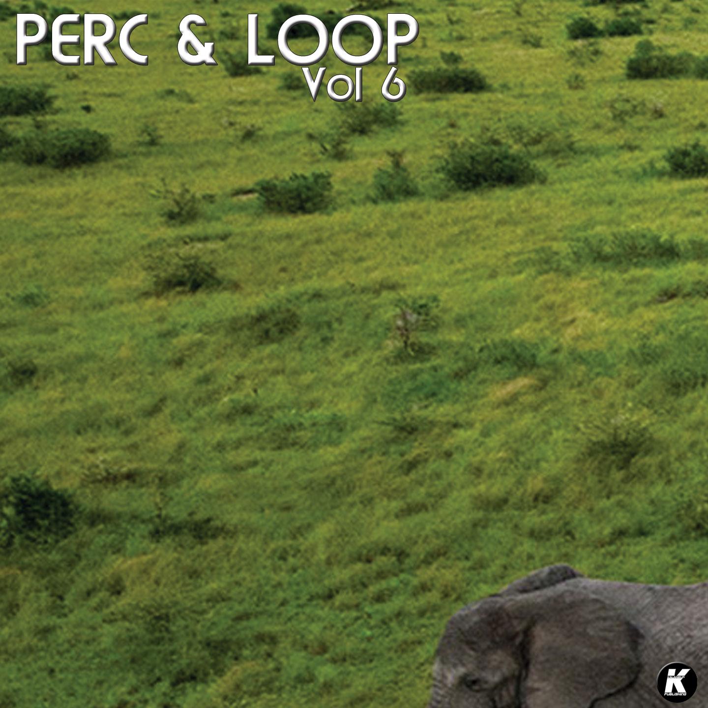 Постер альбома Perc & Loop, Vol. 6