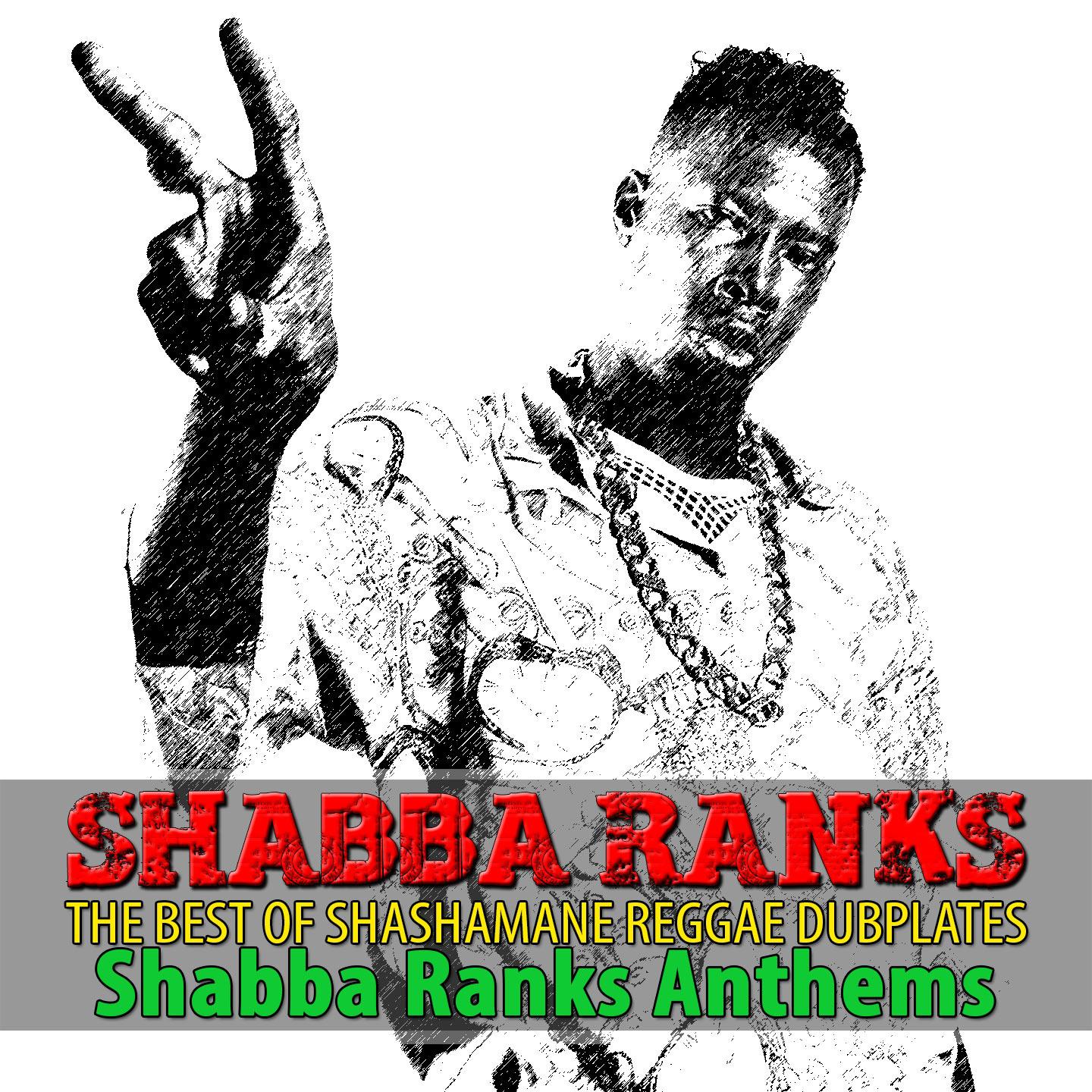 Постер альбома The Best of Shashamane Reggae Dubplates