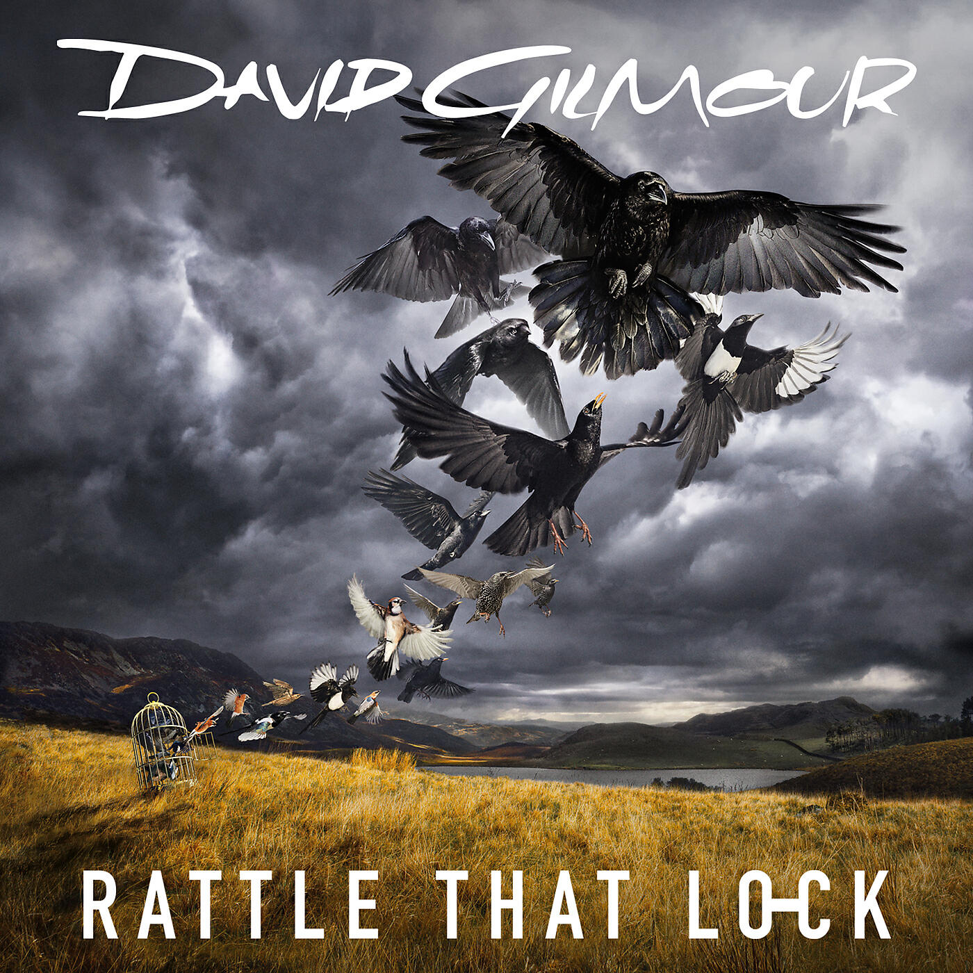 David Gilmour - The Girl In The Yellow Dress