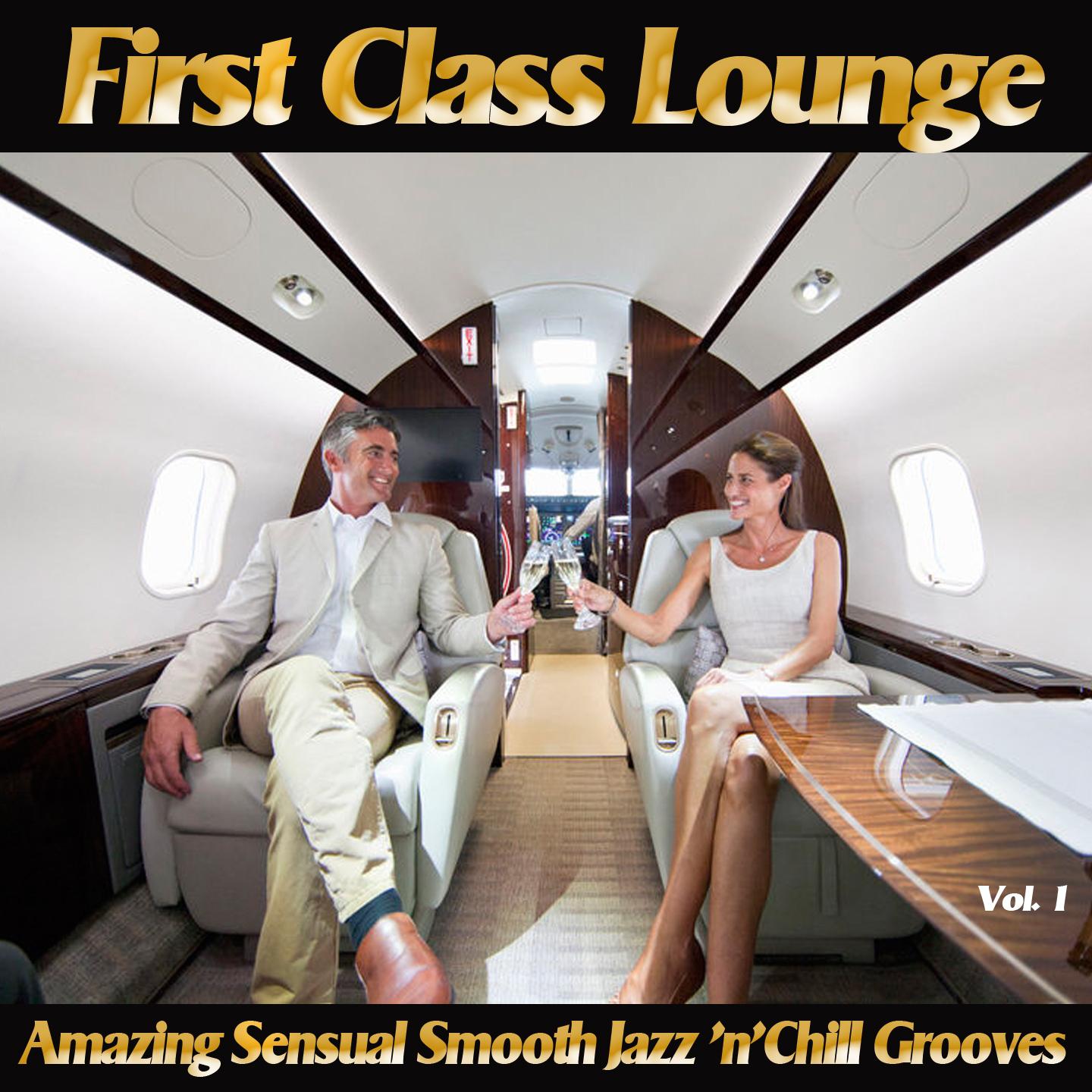 Постер альбома First Class Lounge, Vol. 1