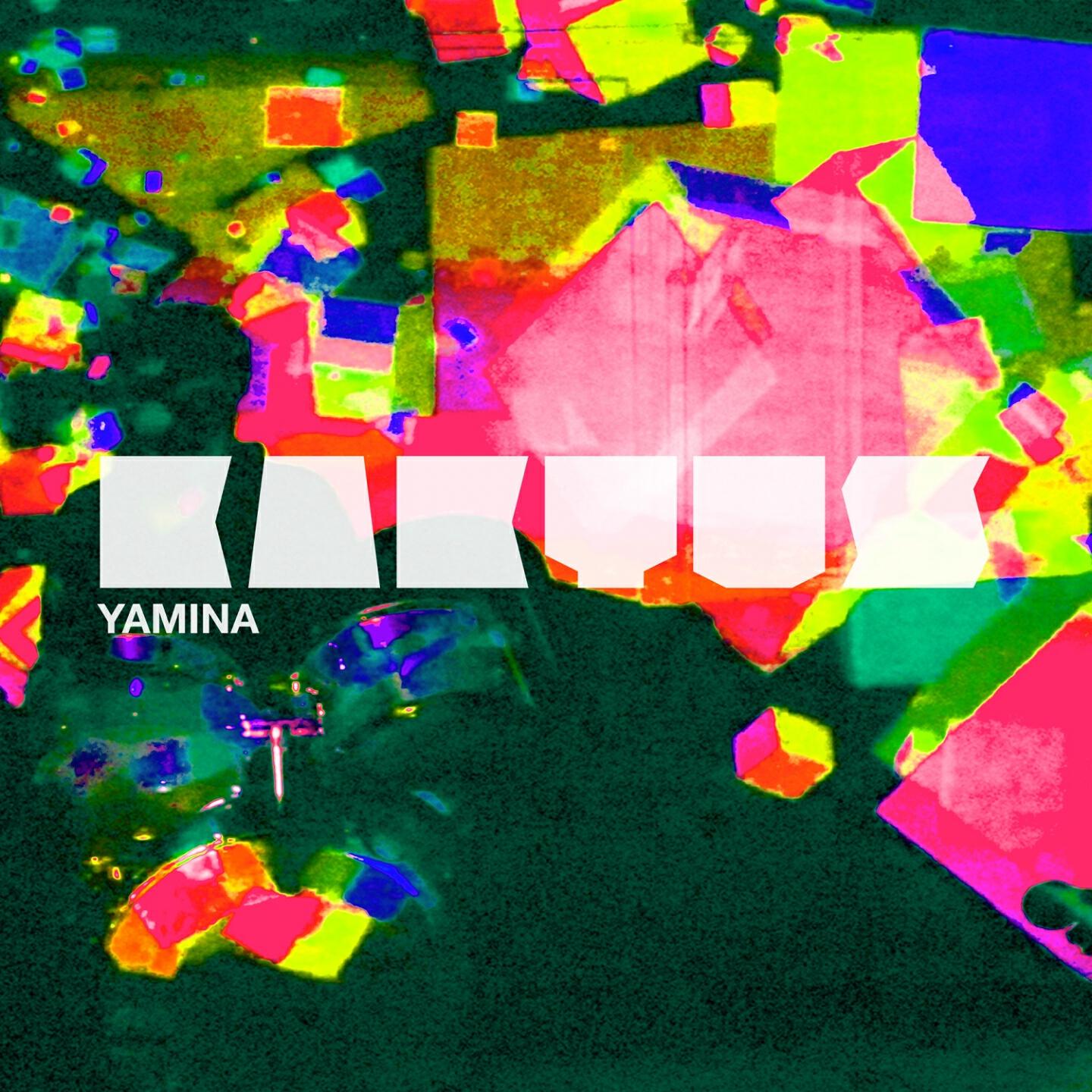 Kaktus - Kimono