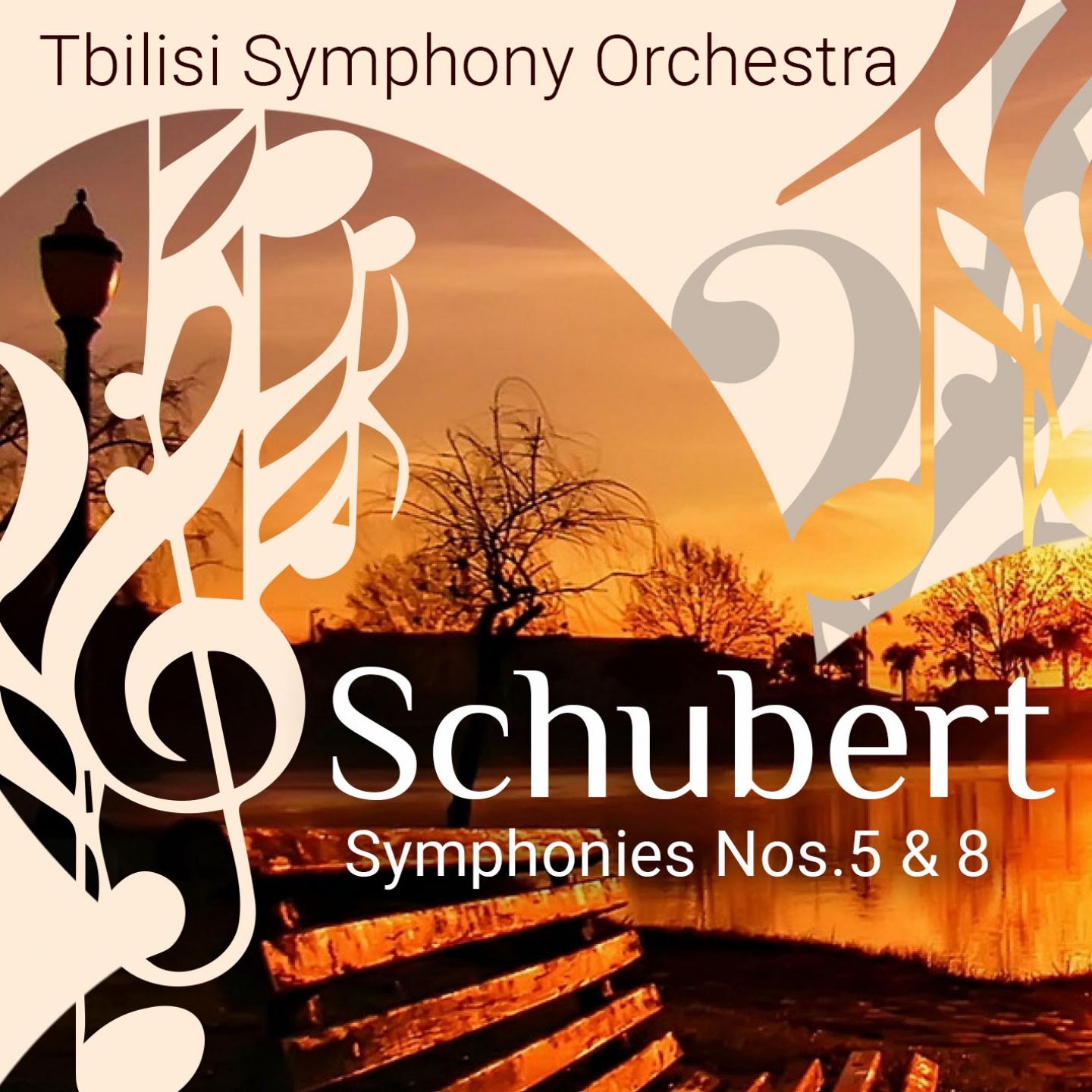 Tbilisi Symphony Orchestra - Symphony No. 5, D. 485: II. Andante con moto