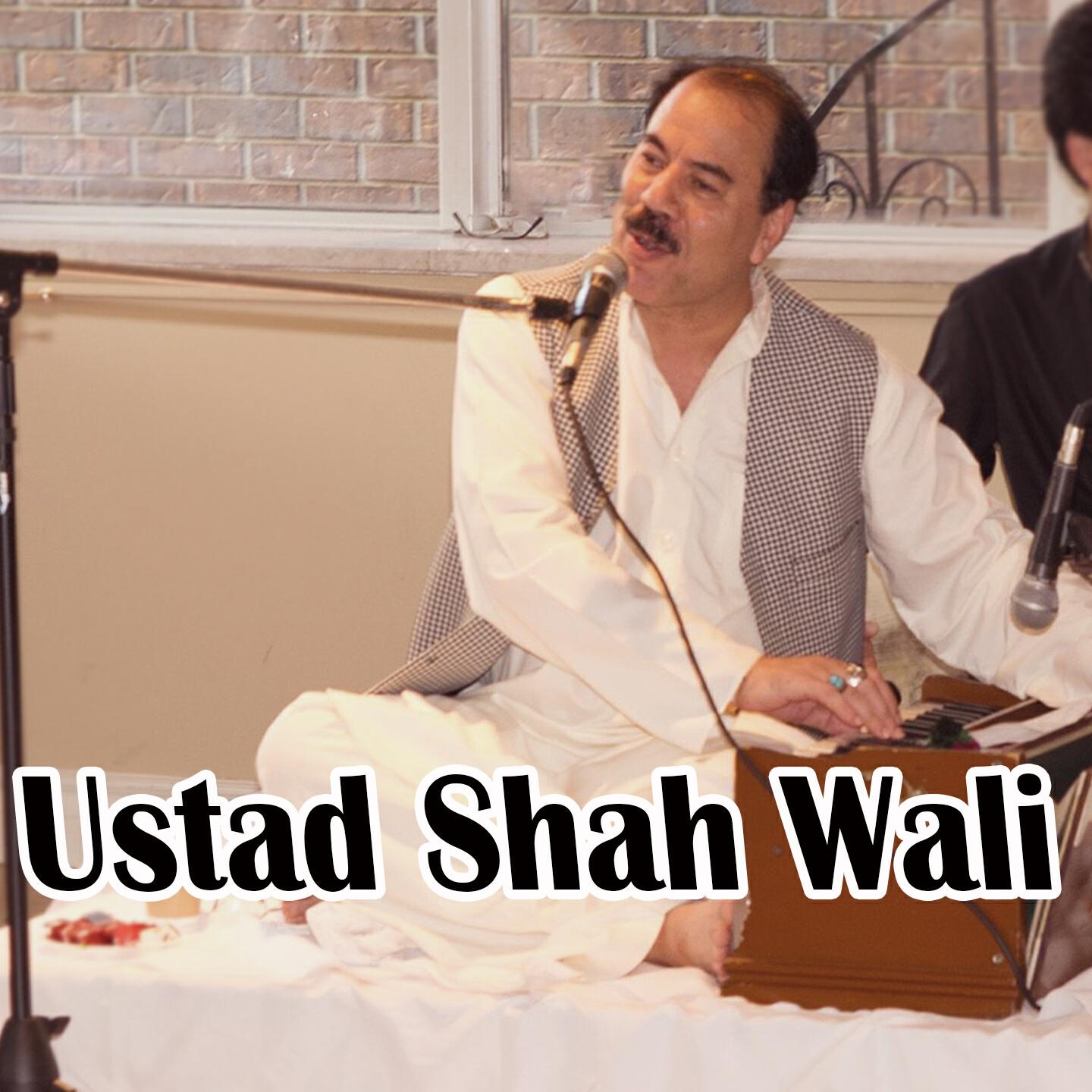 Ustad Shah Wali - Rubhai Sanga Da Zara Na Dey