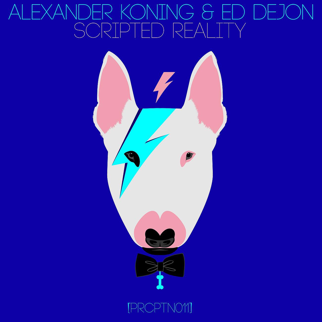Alexander Koning - Scripted Reality