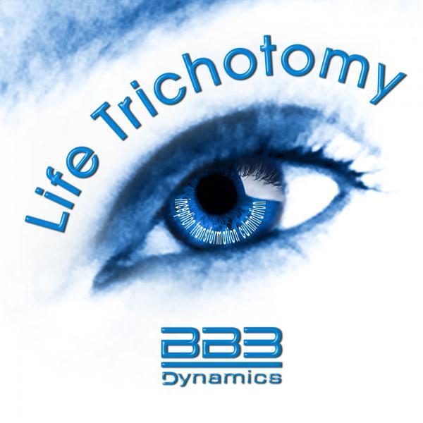 Постер альбома Life Trichotomy EP