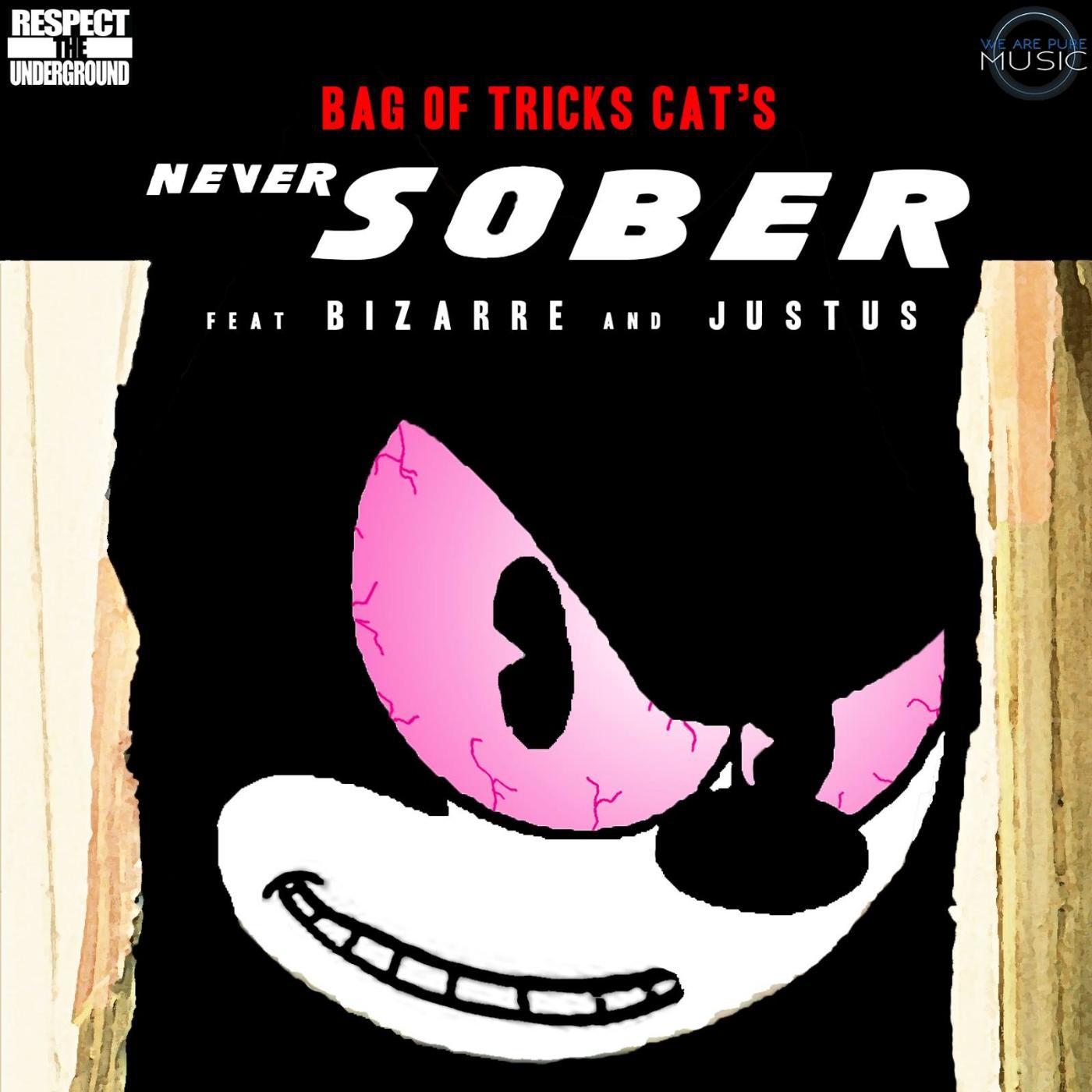 Постер альбома Never Sober (feat. Bizarre & Justus)