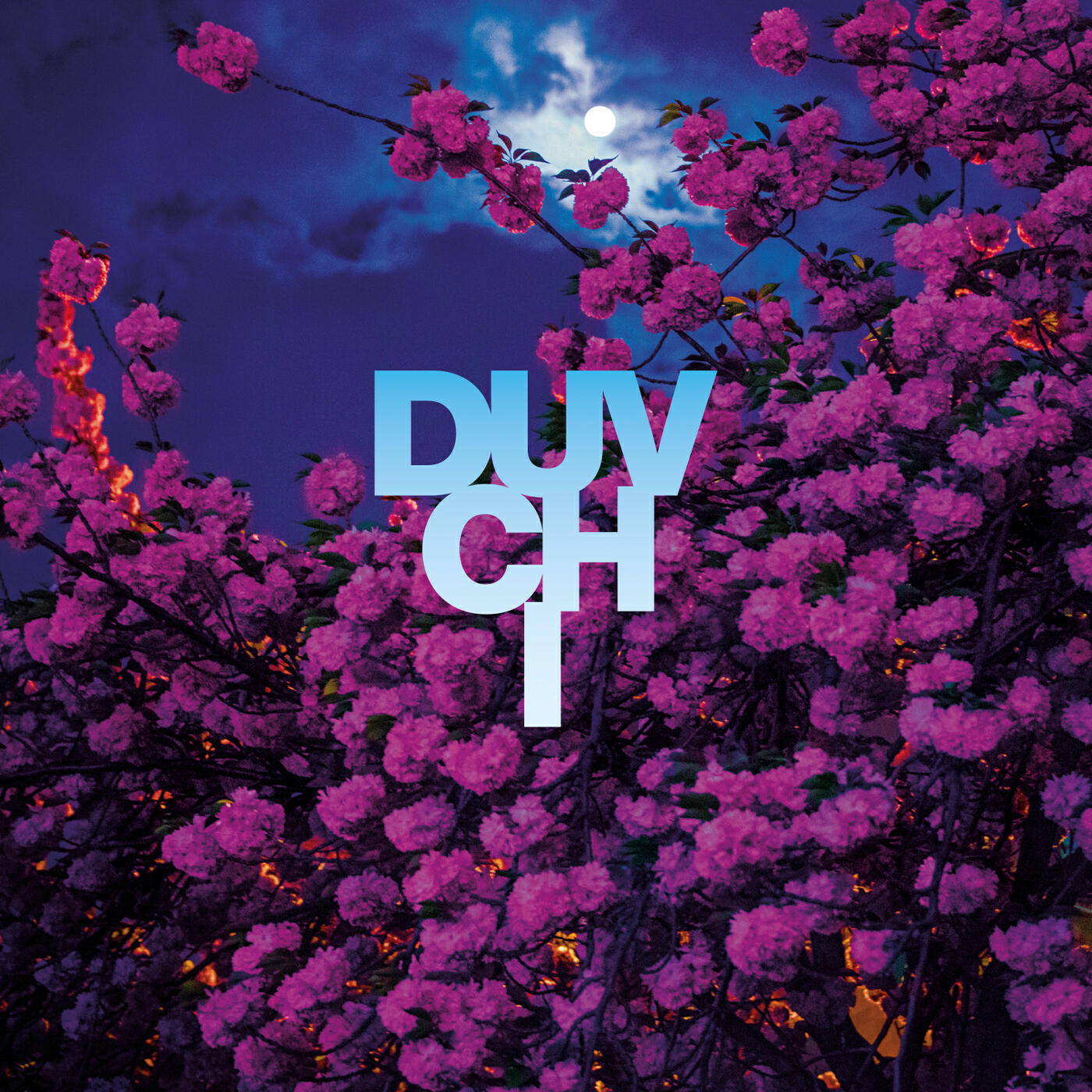 Duvchi - Unfamiliar Love (Carli Remix)
