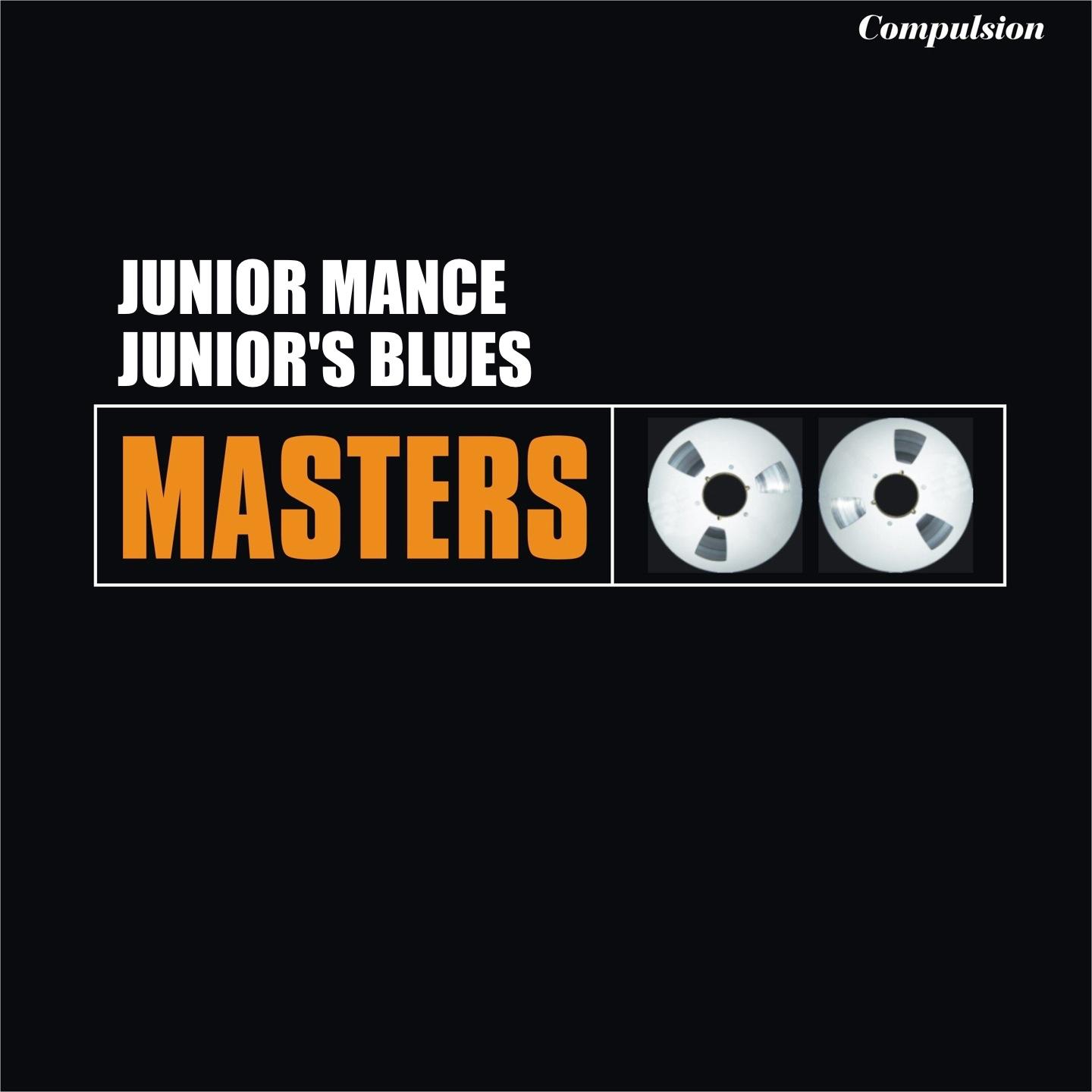 Постер альбома Junior's Blues