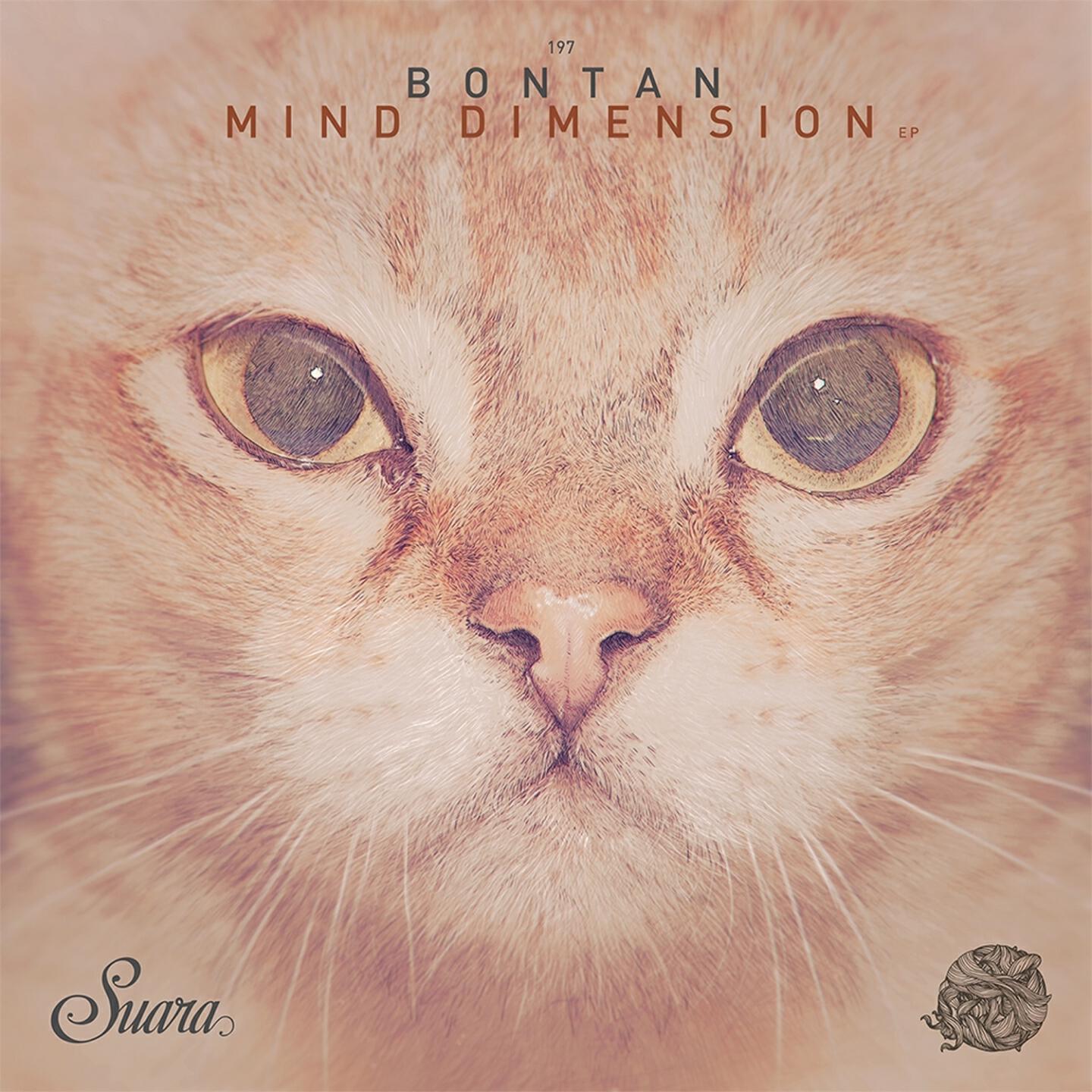 Bontan - Reality