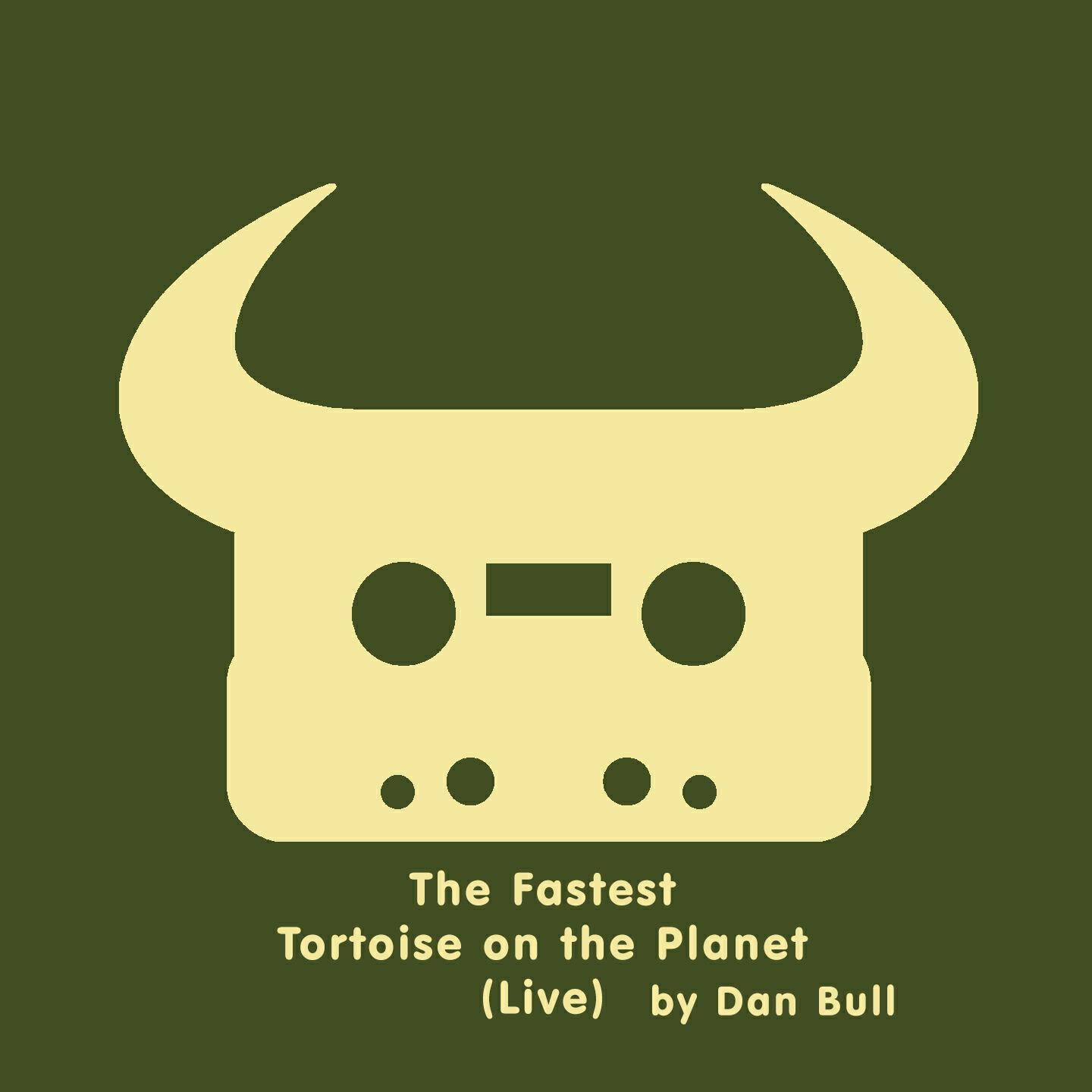 Dan Bull - The Fastest Tortoise on the Planet (Live)