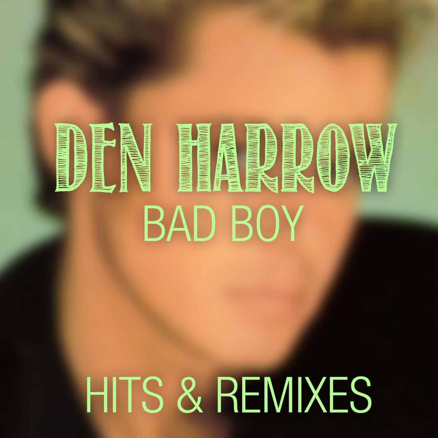 Постер альбома Bad Boy (Hits & Remixes)