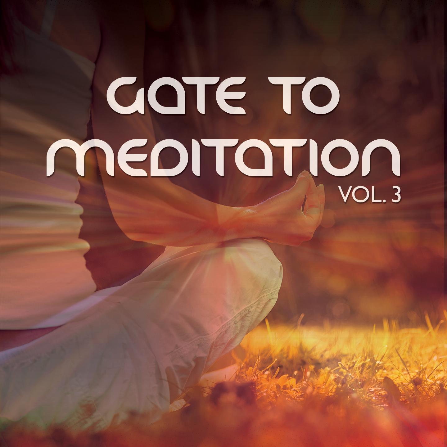 Постер альбома Gate To Meditation, Vol. 3
