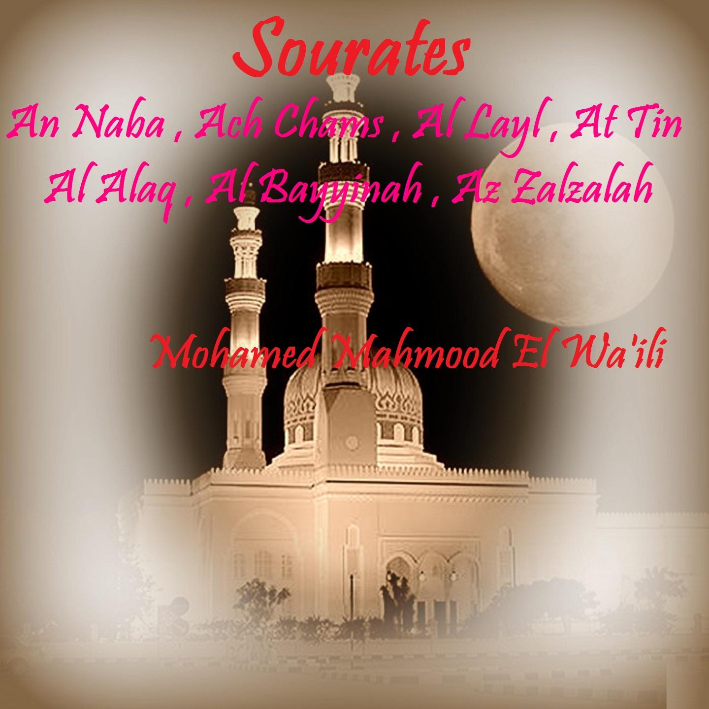 Постер альбома Sourates An Naba , Ach Chams , Al Layl , At Tin , Al Alaq , Al Bayyinah , Az Zalzalah