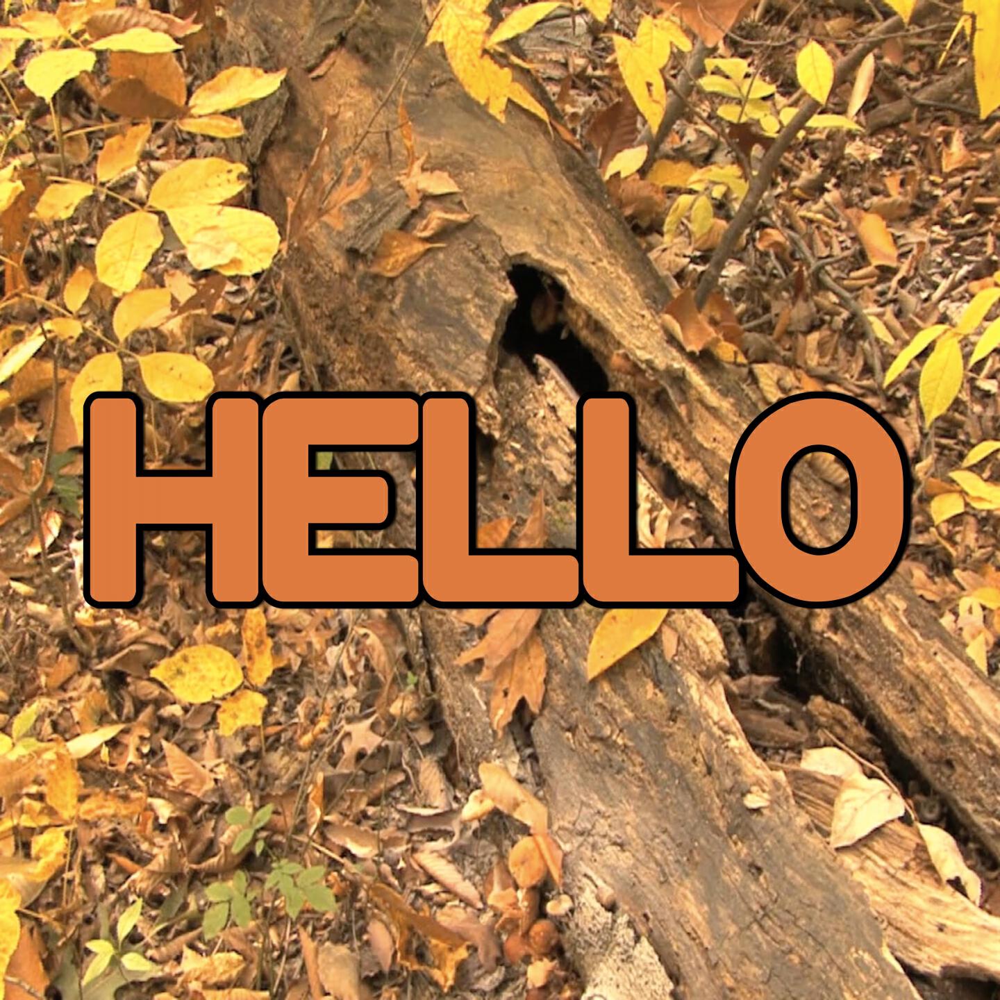 Swift Hits - Hello - Tribute to Adele (Instrumental Version)