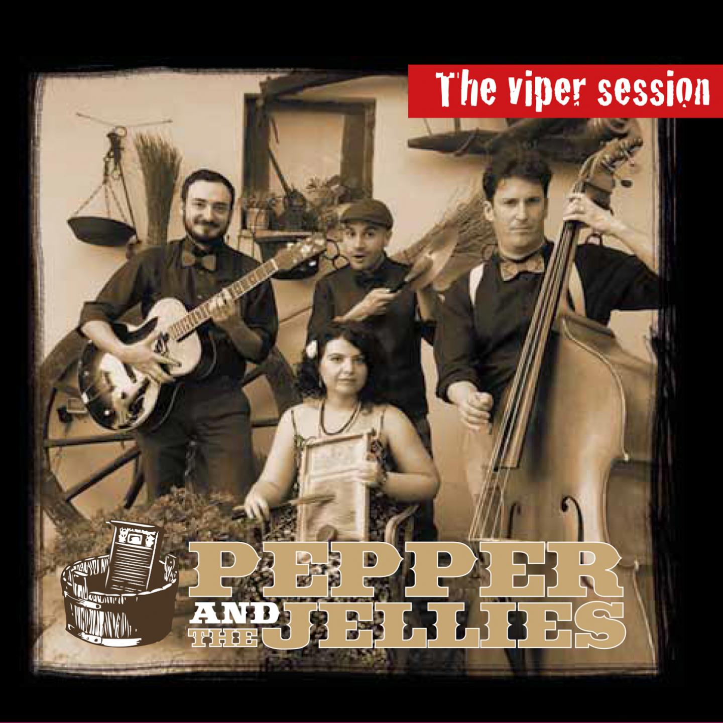 Постер альбома The Viper Session