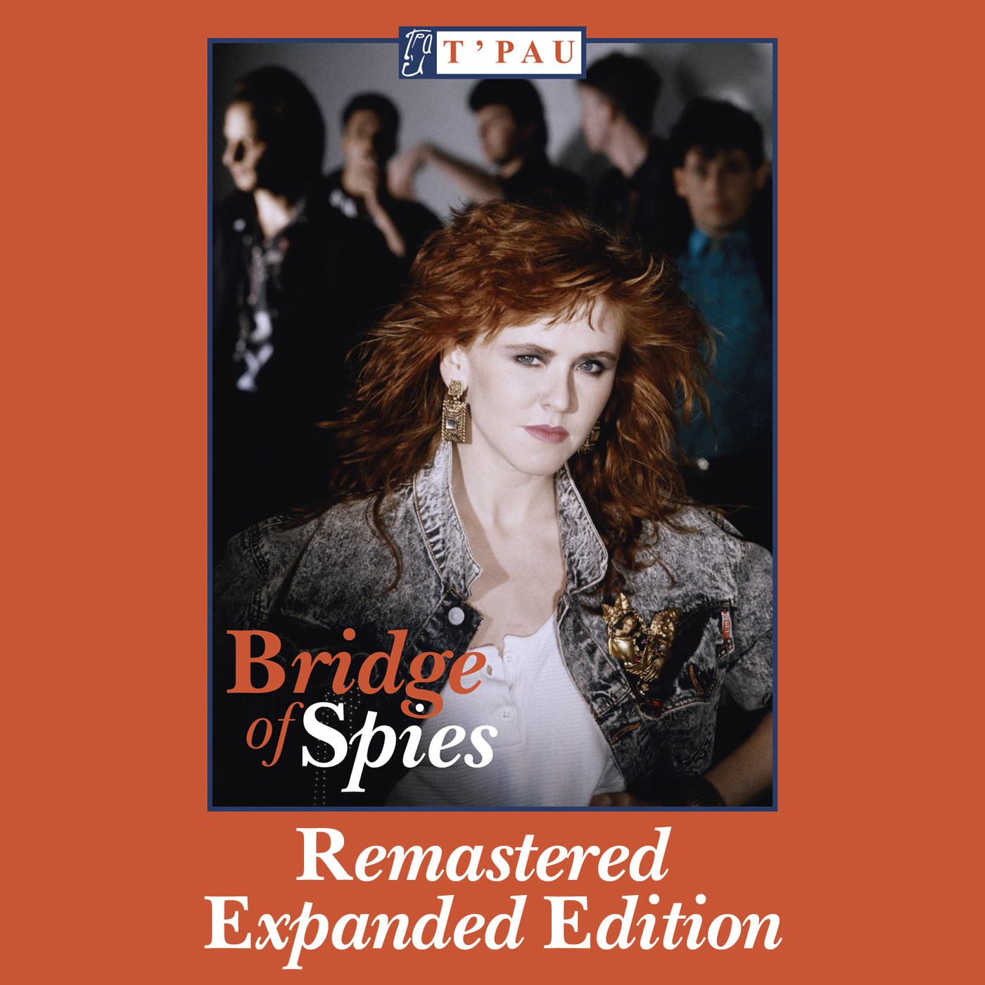 Постер альбома Bridge Of Spies