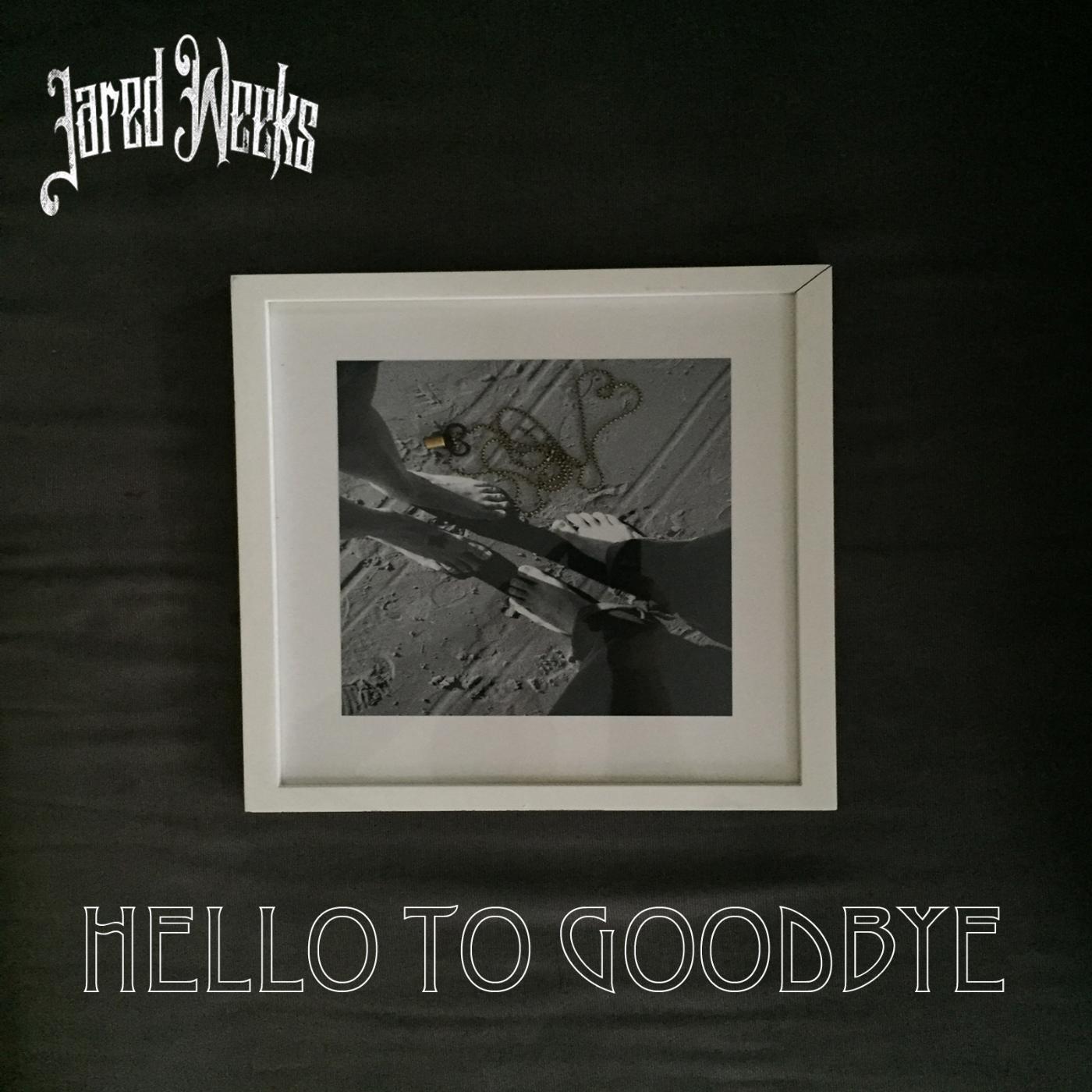 Постер альбома Hello to Goodbye