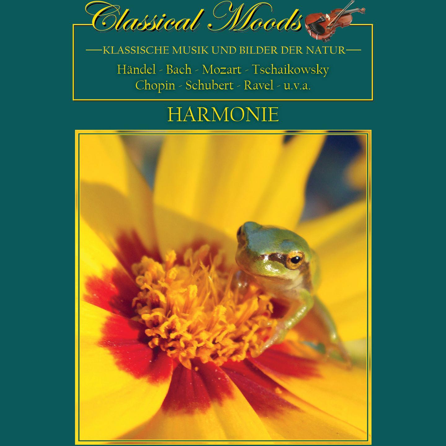 Постер альбома Classical Moods - Harmony
