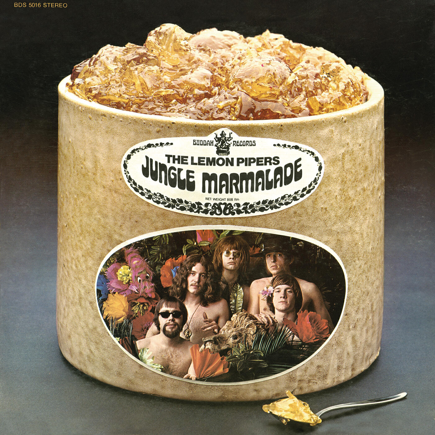 The Lemon Pipers - I Need Someone (The Painter)