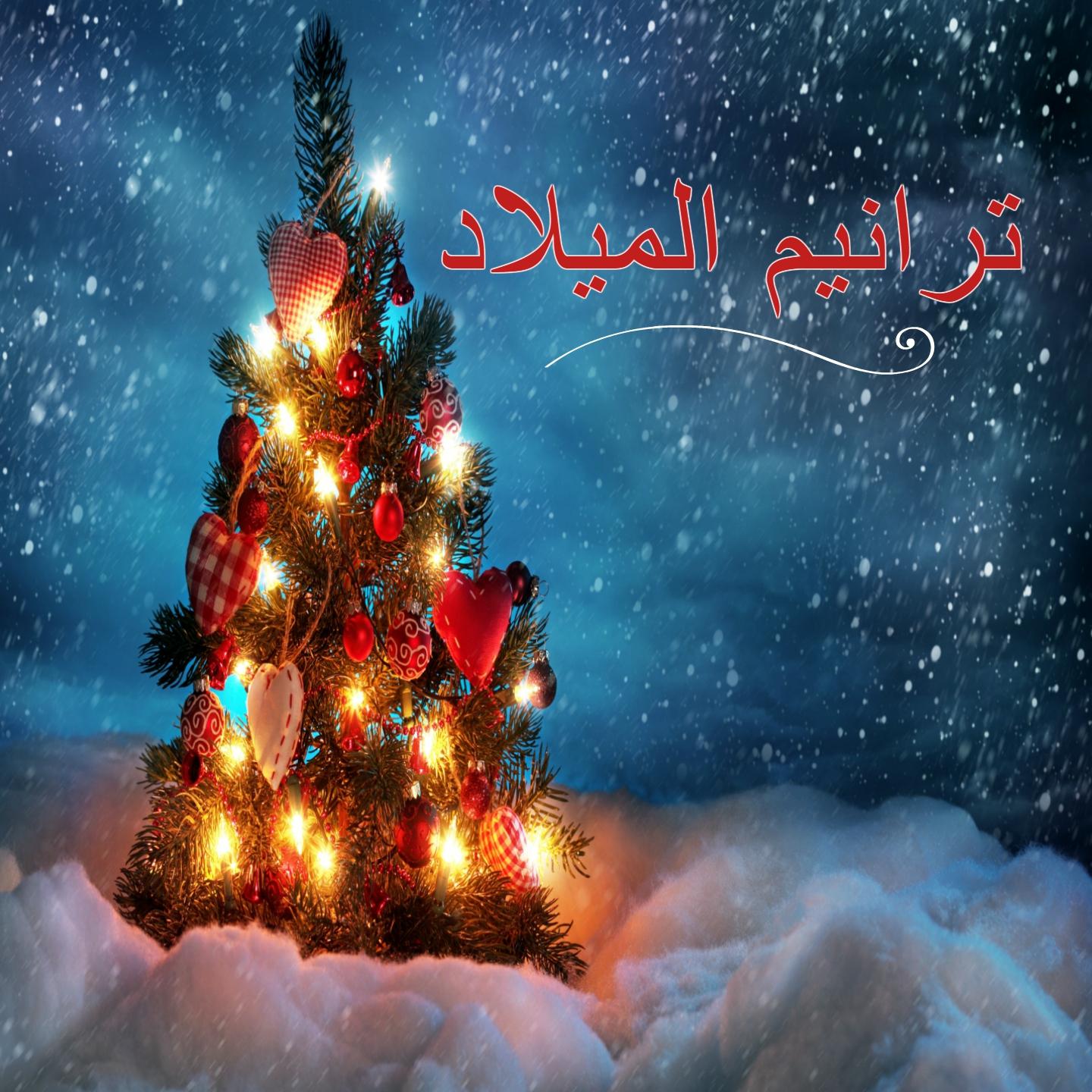 Постер альбома Taraneem El Milad