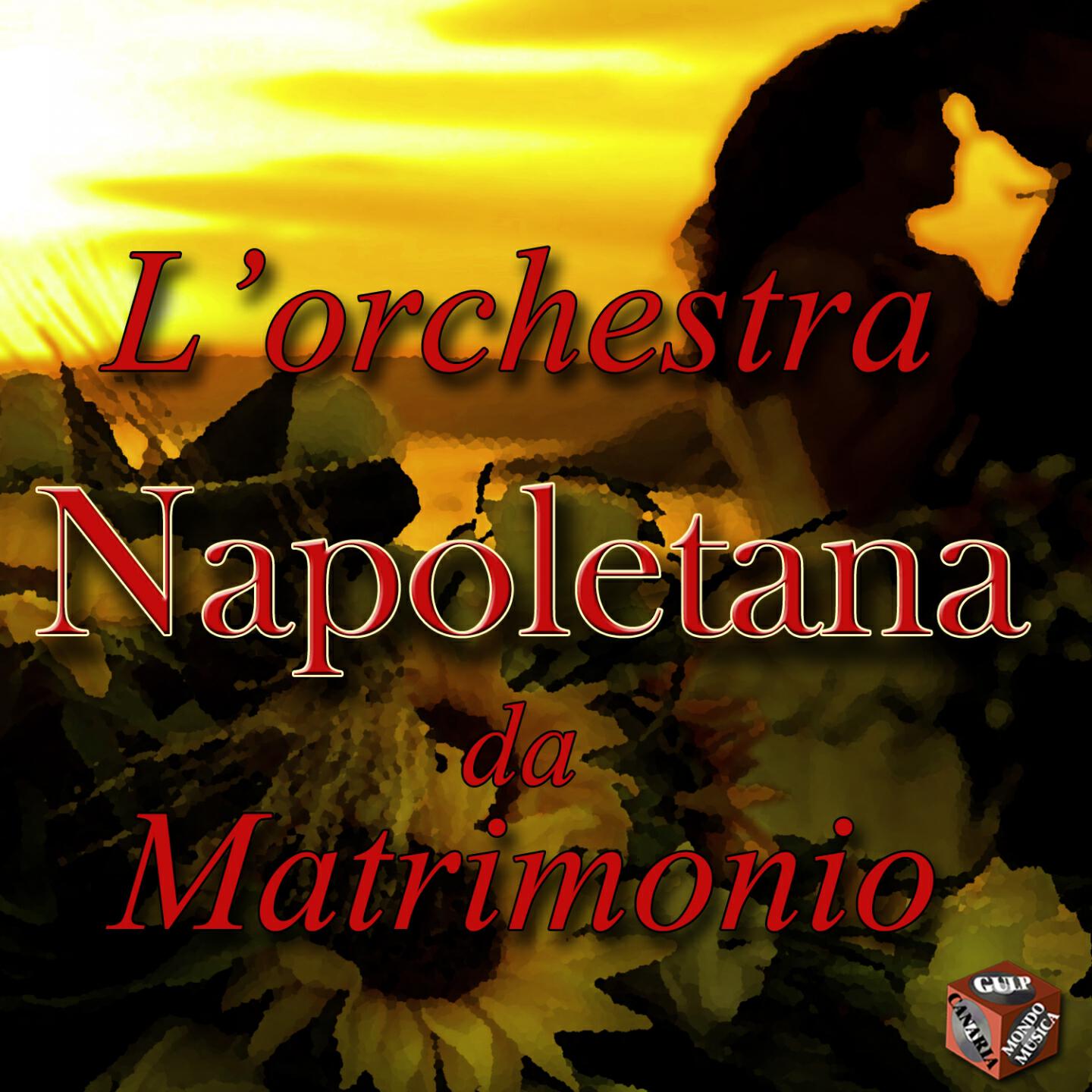 Orchestra Gianni Aterrano - Violino tzigano