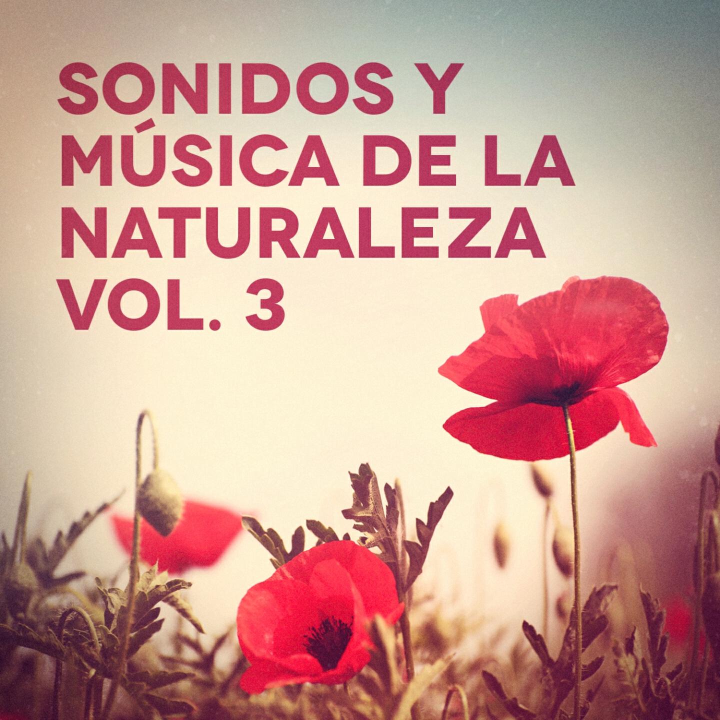Alessio De Franzoni - I girasoli