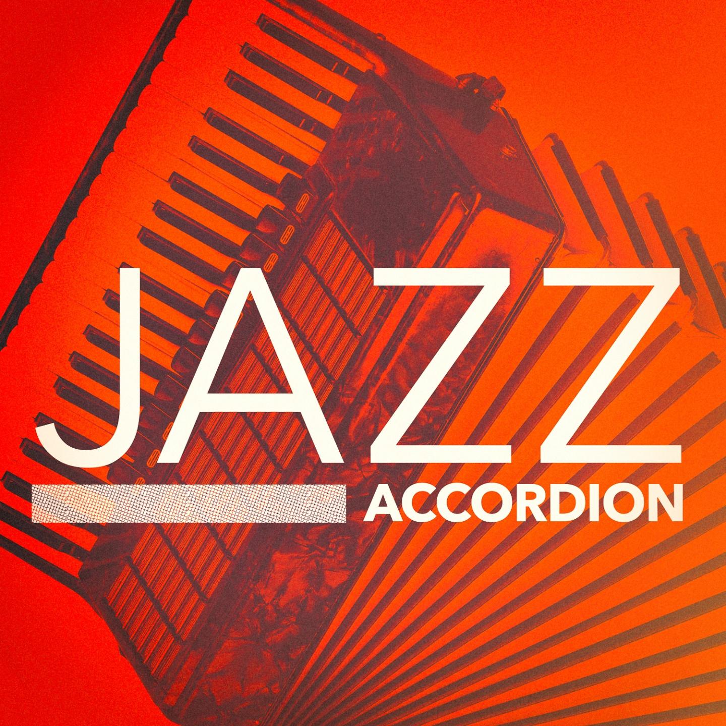 Постер альбома Jazz Accordion