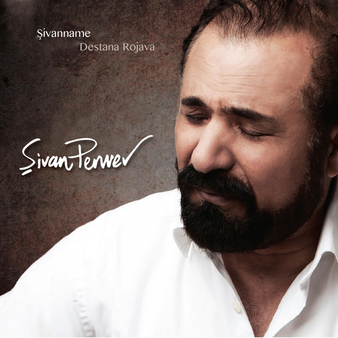 Постер альбома Şivanname, Vol. 2