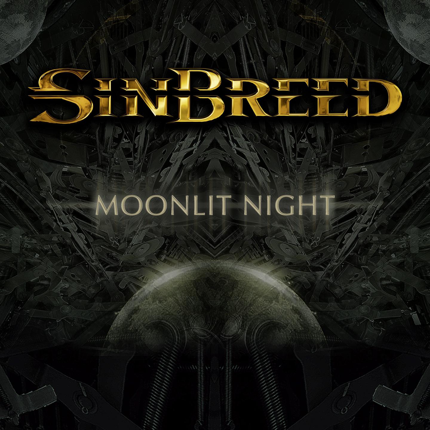 Постер альбома Moonlit Night