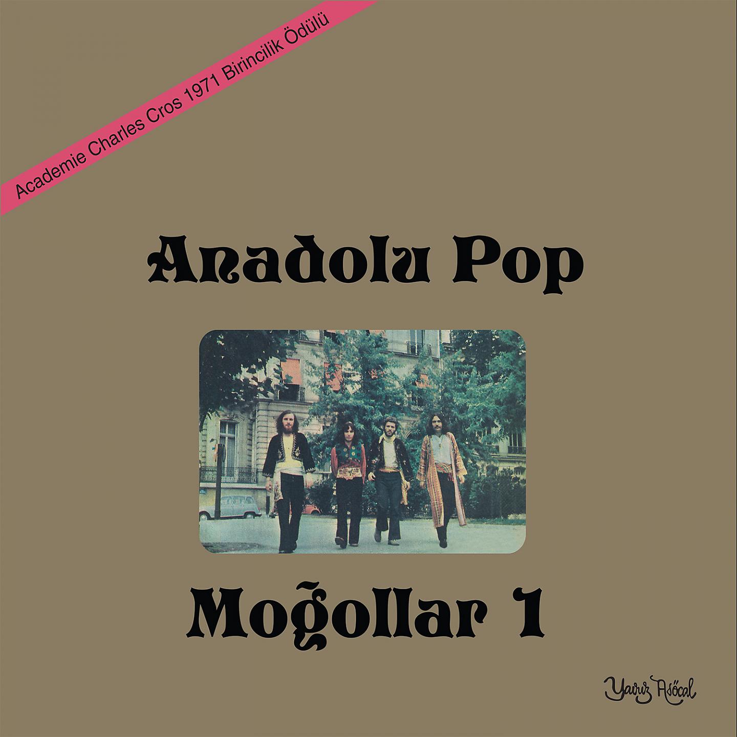 Постер альбома Anadolu Pop Moğollar, Vol. 1