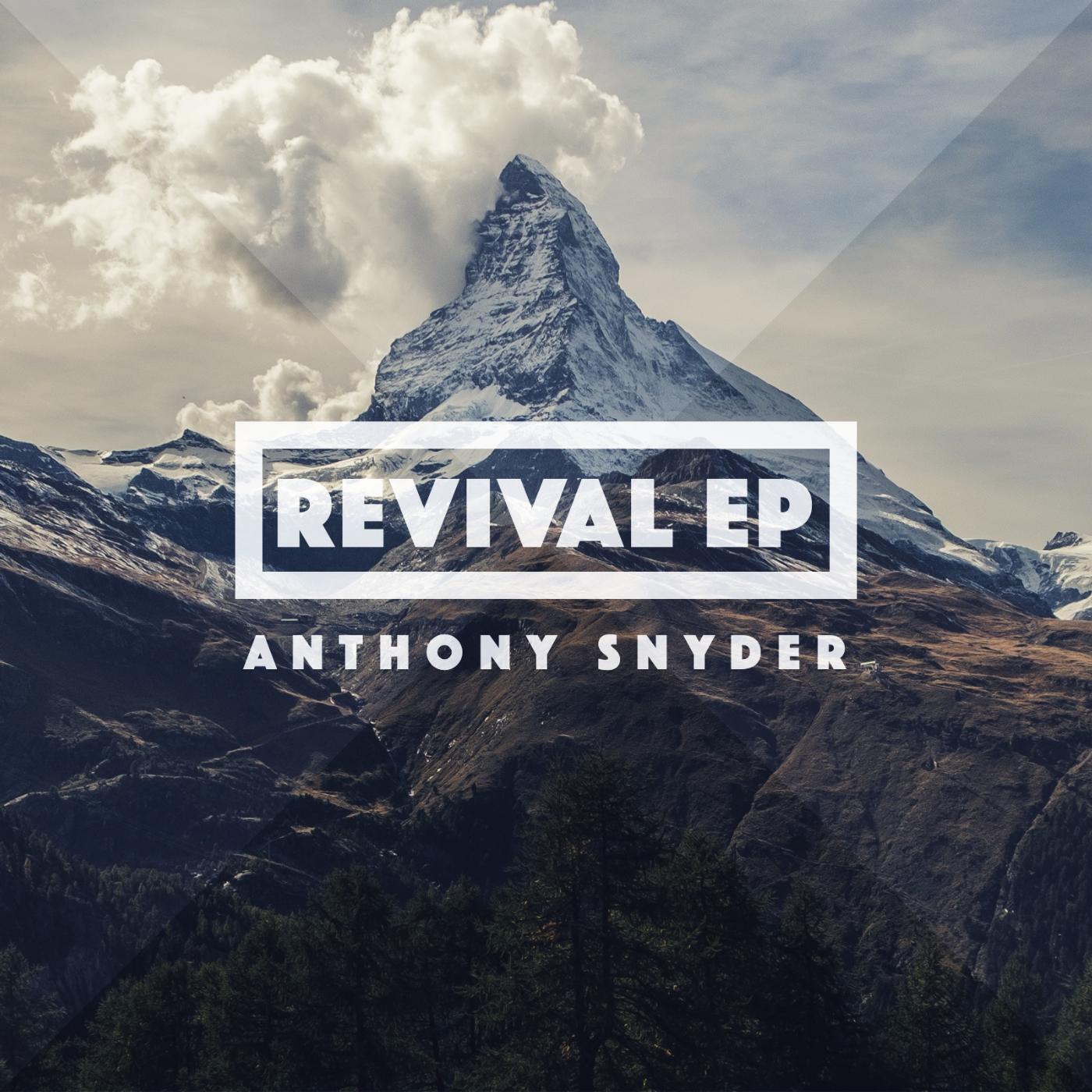 Anthony Snyder - Vestige