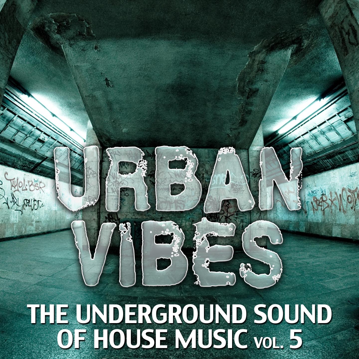 Постер альбома Urban Vibes - The Underground Sound of House Music, Vol. 5
