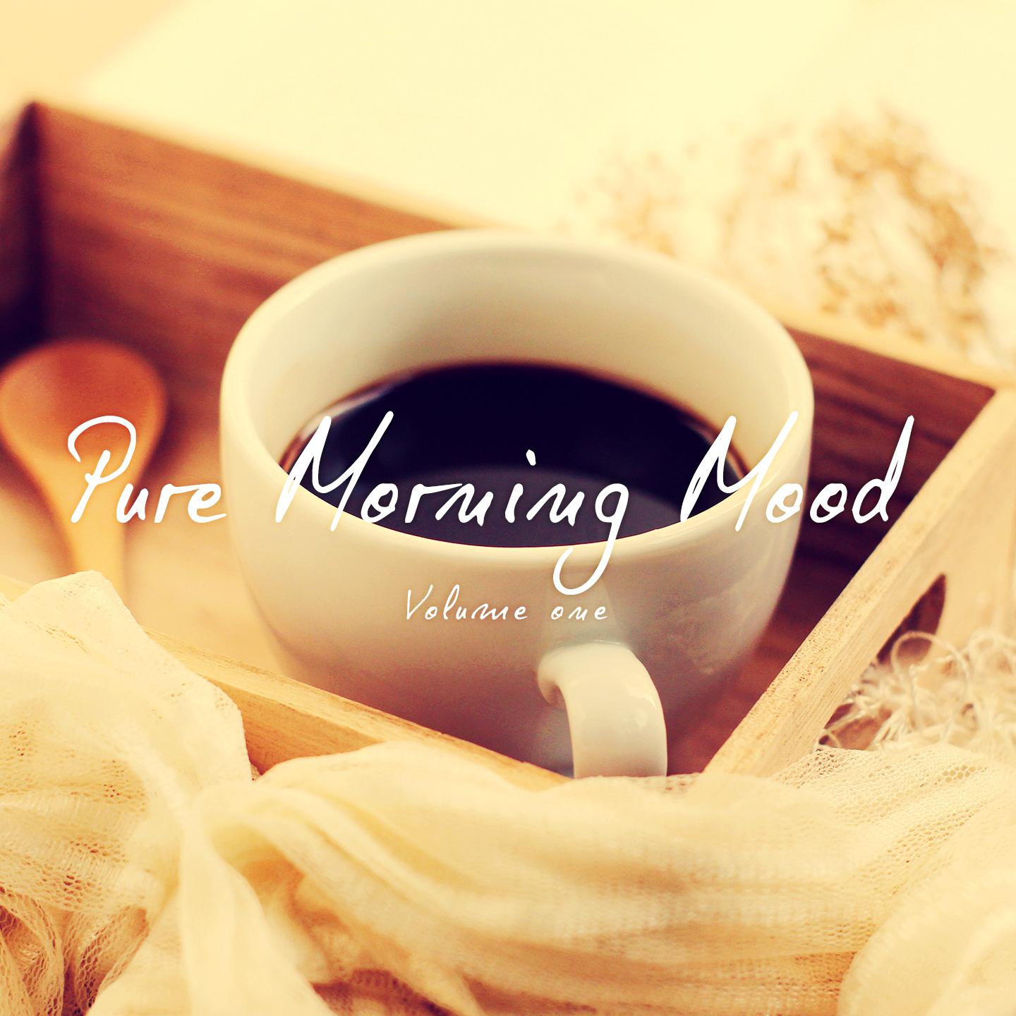 Постер альбома Pure Morning Mood