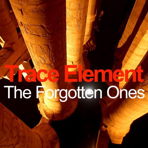 Trace Element - The Forgotten Ones (Acoustic)