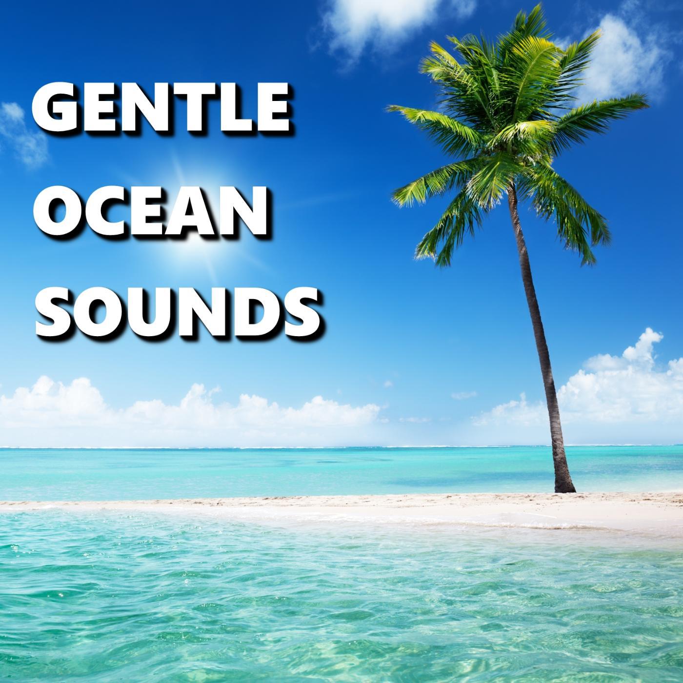 Постер альбома Gentle Ocean Sounds