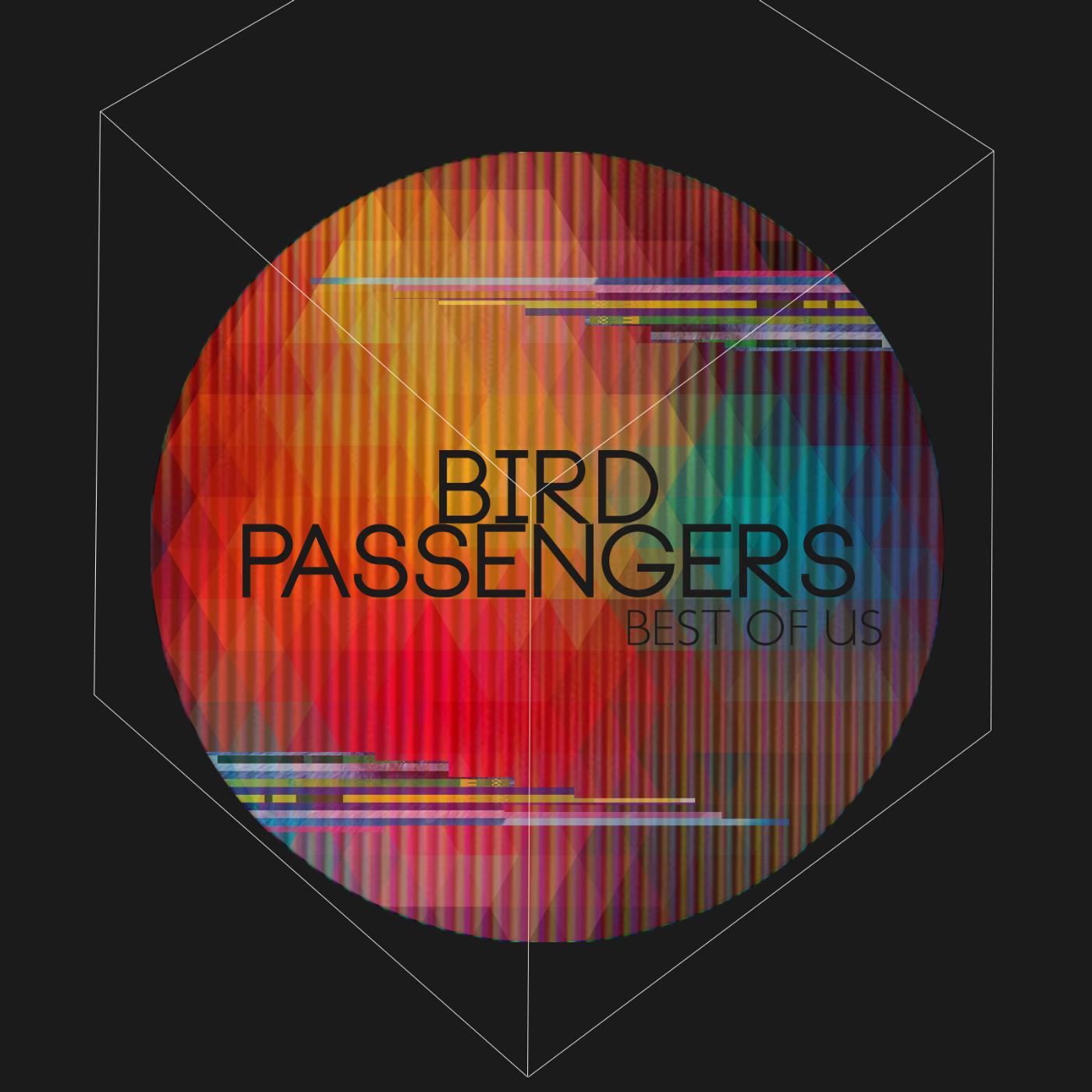 Bird Passengers - Best of Us