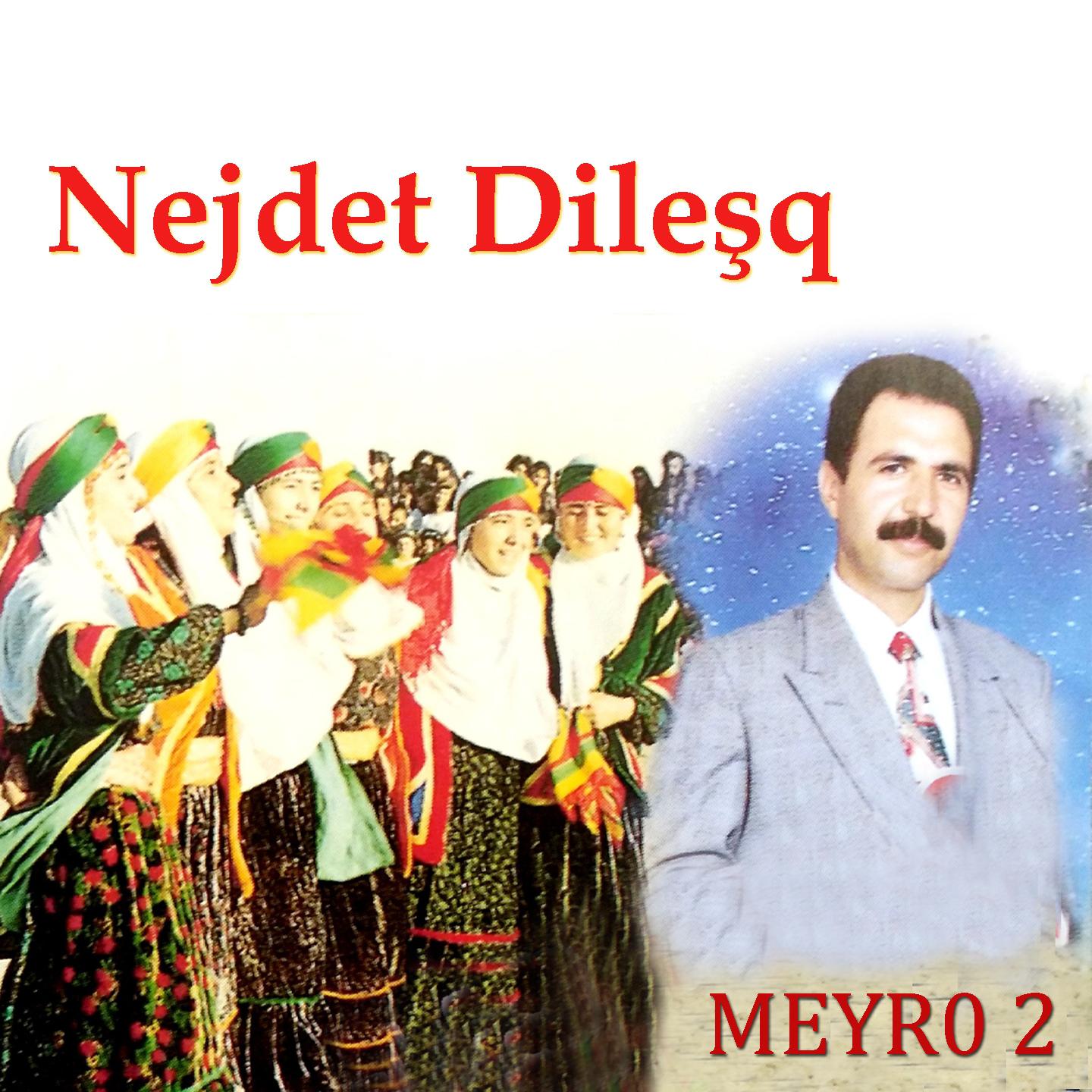 Постер альбома Meyro, Vol. 2