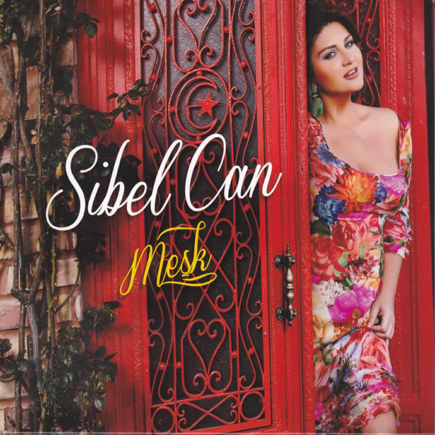 Sibel Can - Ne Oldu Sana
