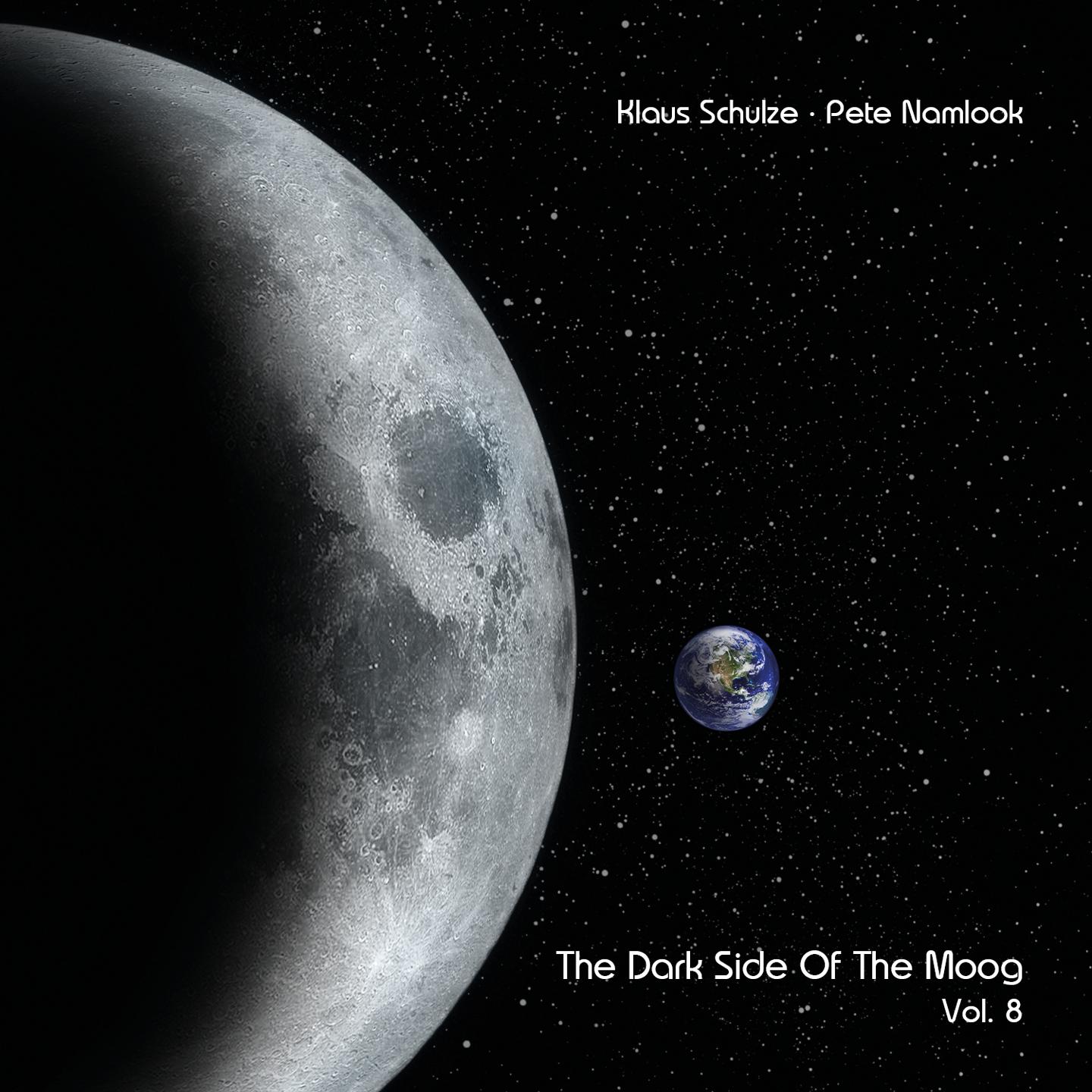Постер альбома The Dark Side of the Moog, Vol. 8