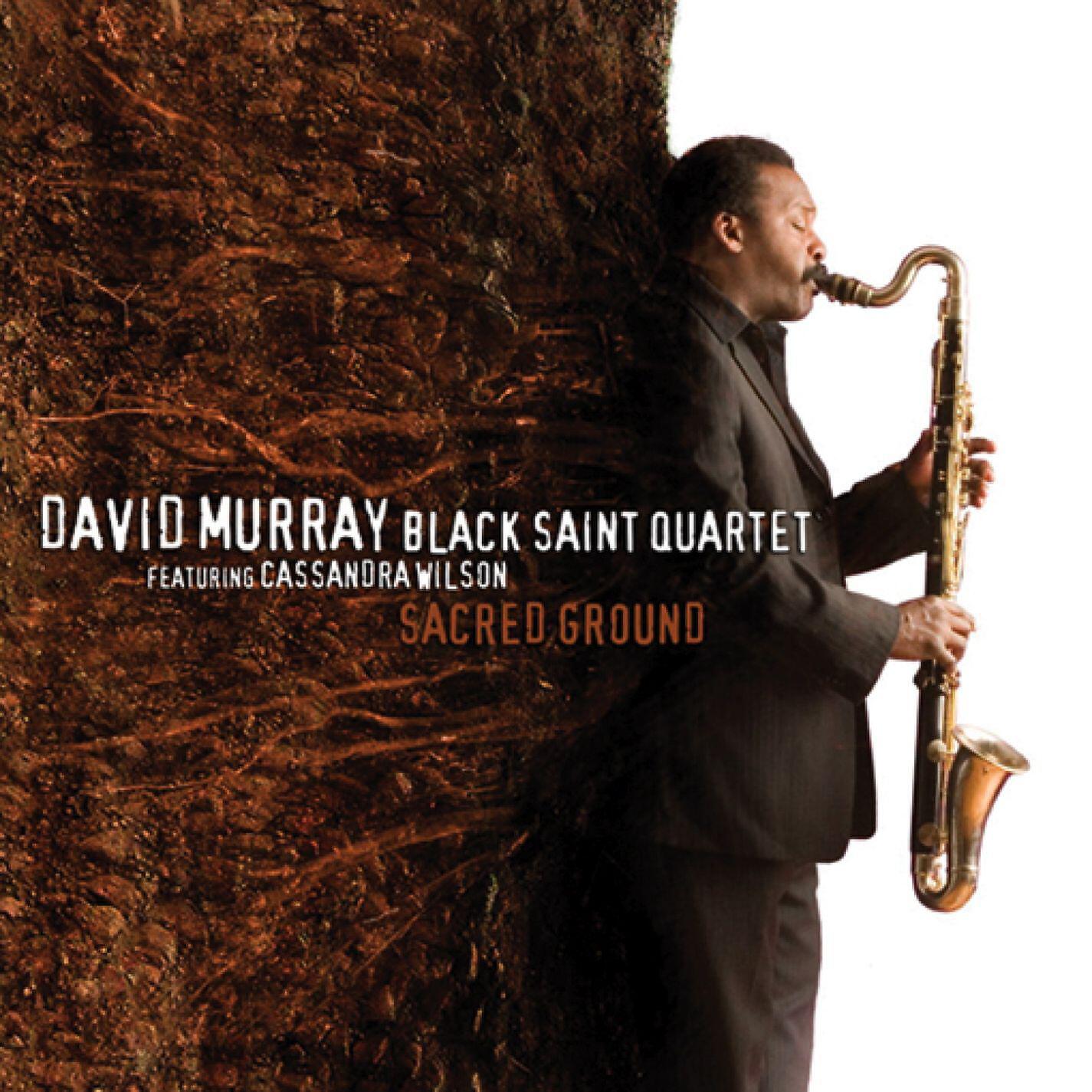 David Murray Black Saint Quartet - Believe in Love (feat. Cassandra Wilson)