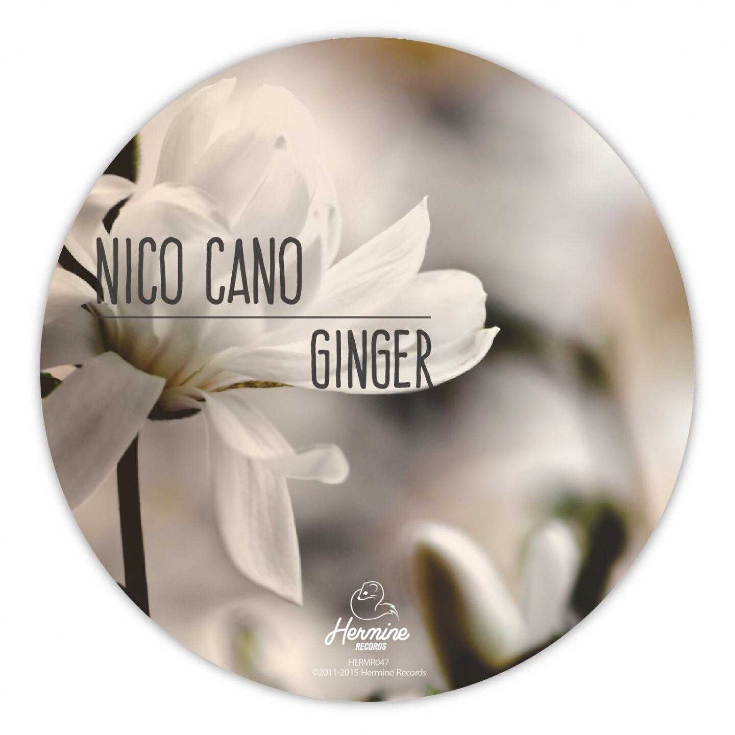 Nico Cano - Lluvia en el Pope