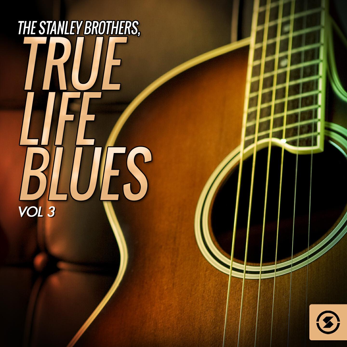 The Stanley Brothers - Drifting Too Far from the Shore